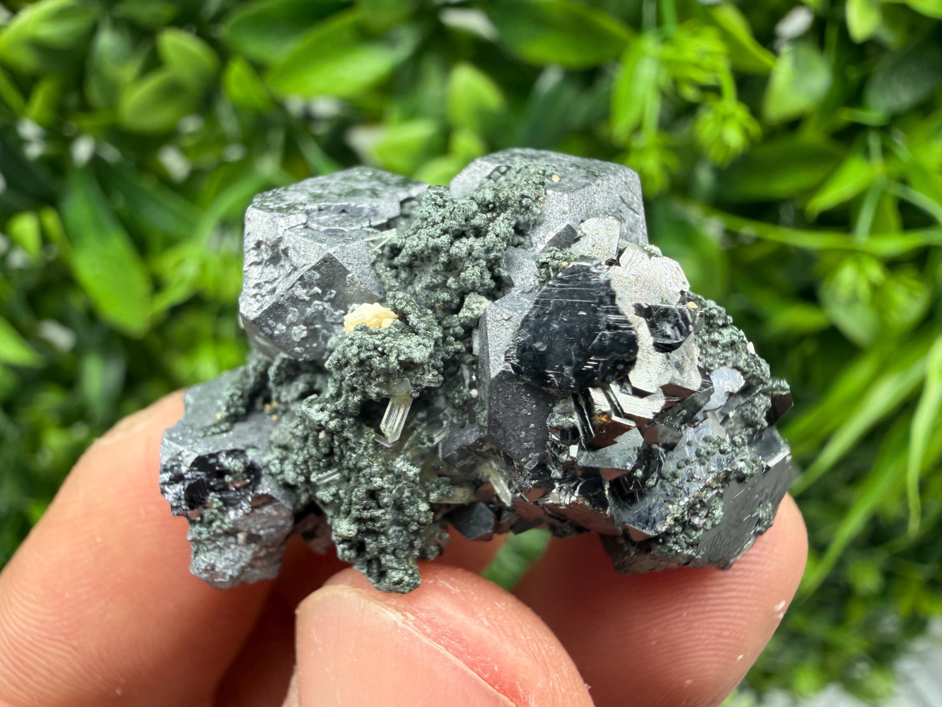 Aesthetic Sphalerite,Galena whit Chlorite from Borieva mine Madan Bulgaria natural minerals souvenir crystal gift home decor stone rock