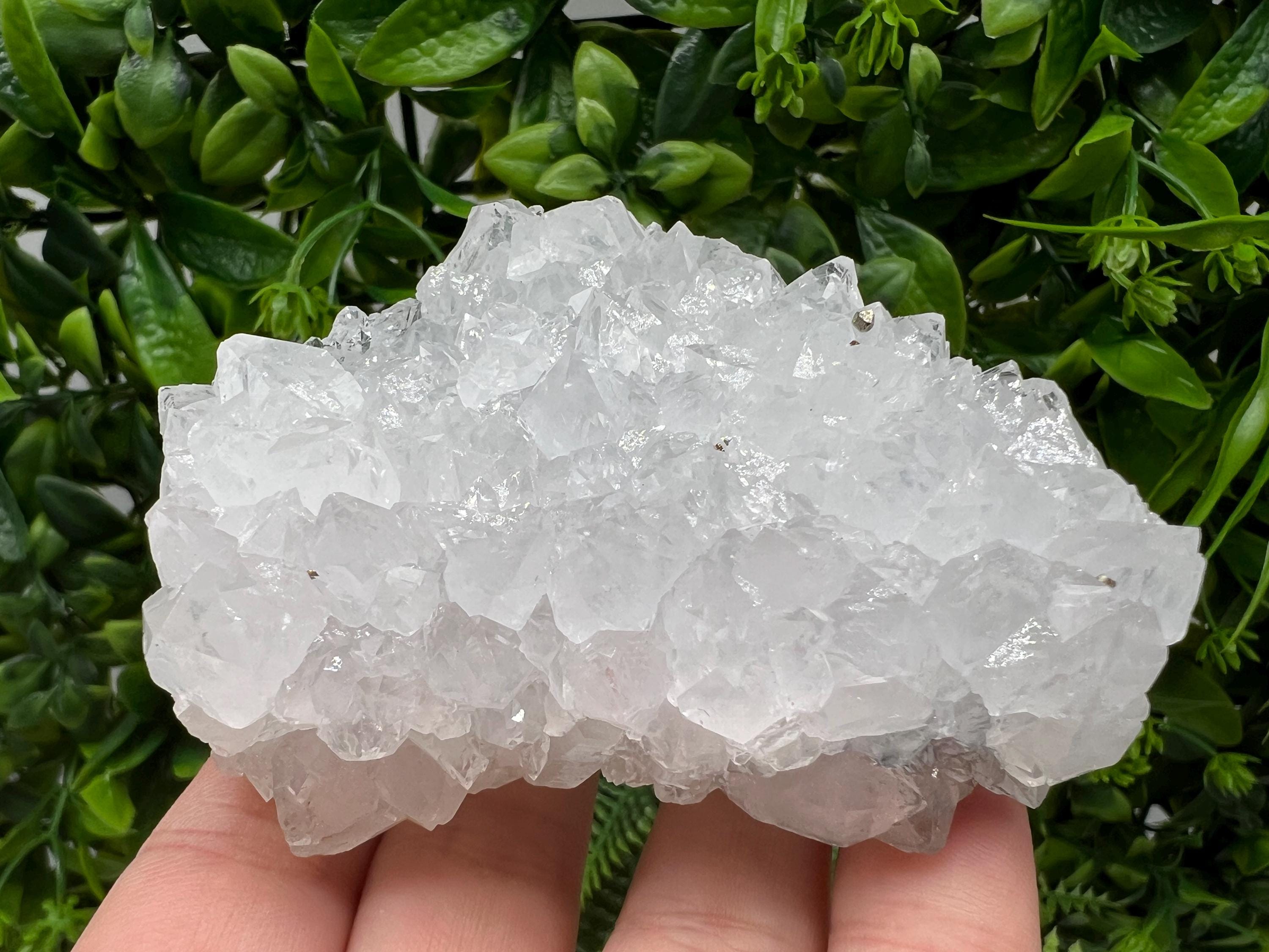 Wonderful Transparent Quartz on Chlorite Matrix,From Borieva mine,Madan,Bulgaria,Quartz,Quartz crystal,mineral specimen,collection quartz