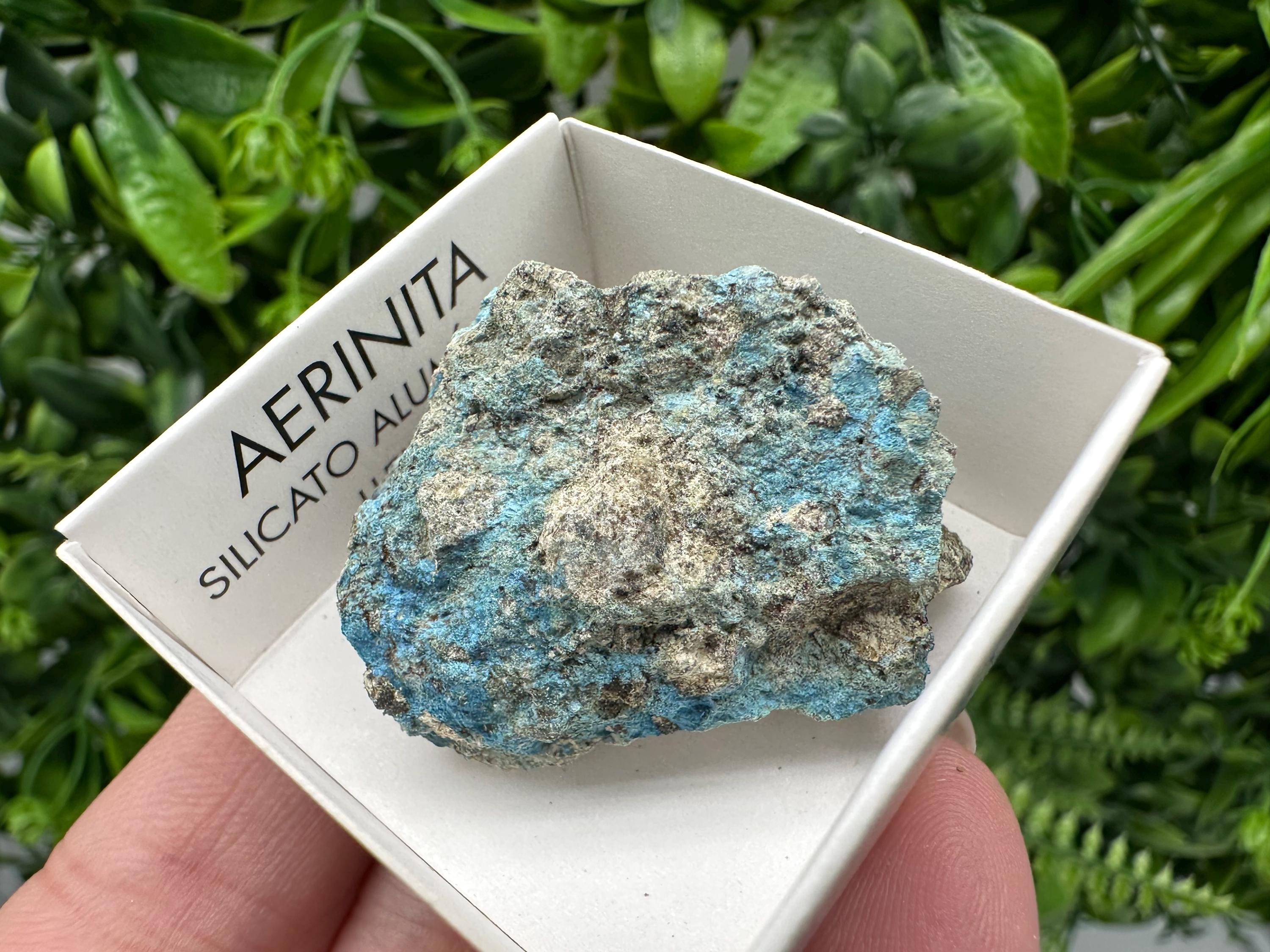 Rare Raw Aerinite Mineral Specimen: Lleida, Spain Crystal