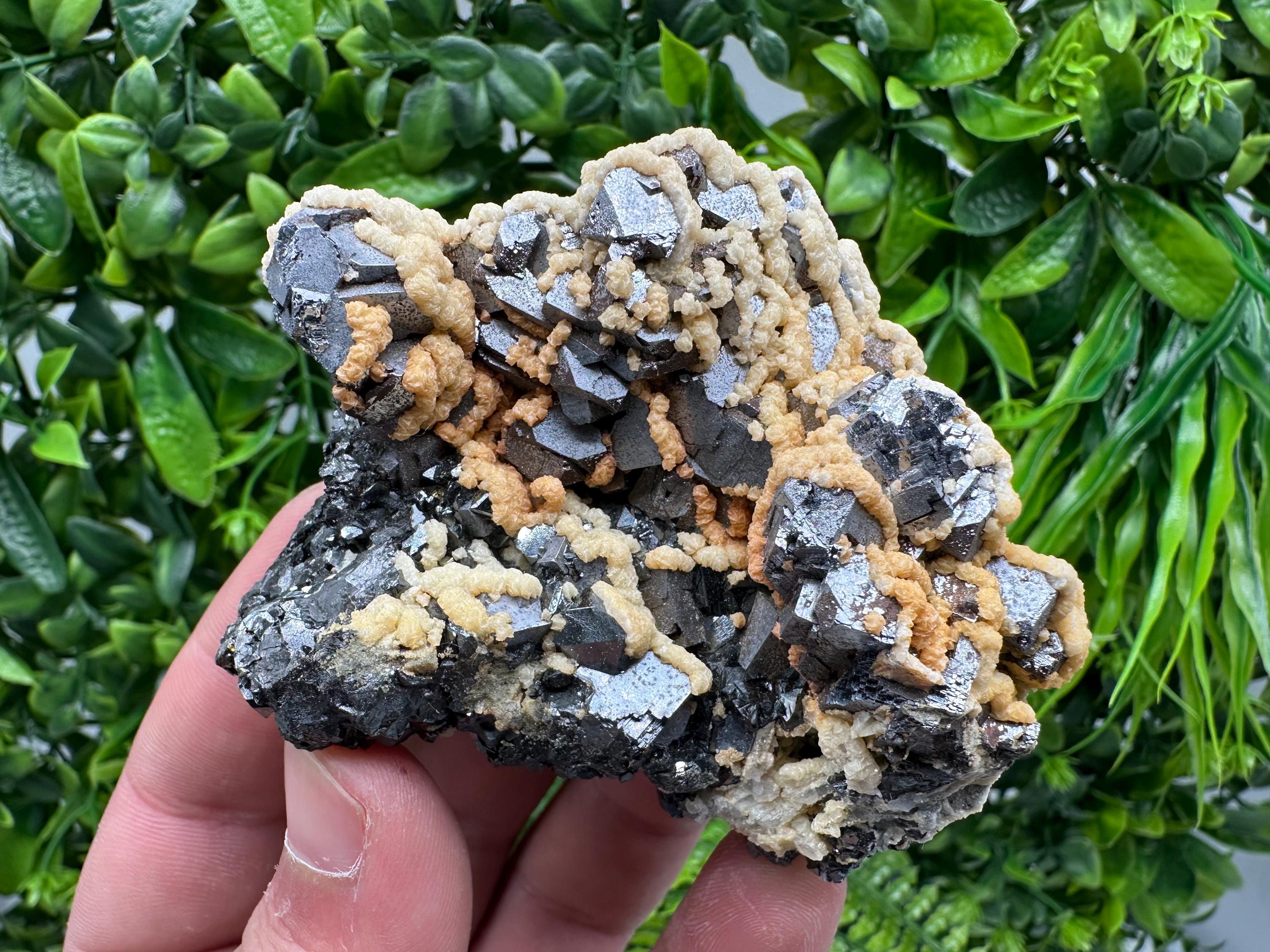 Galena with Dolomite Cluster, Krushev dol Bulgaria