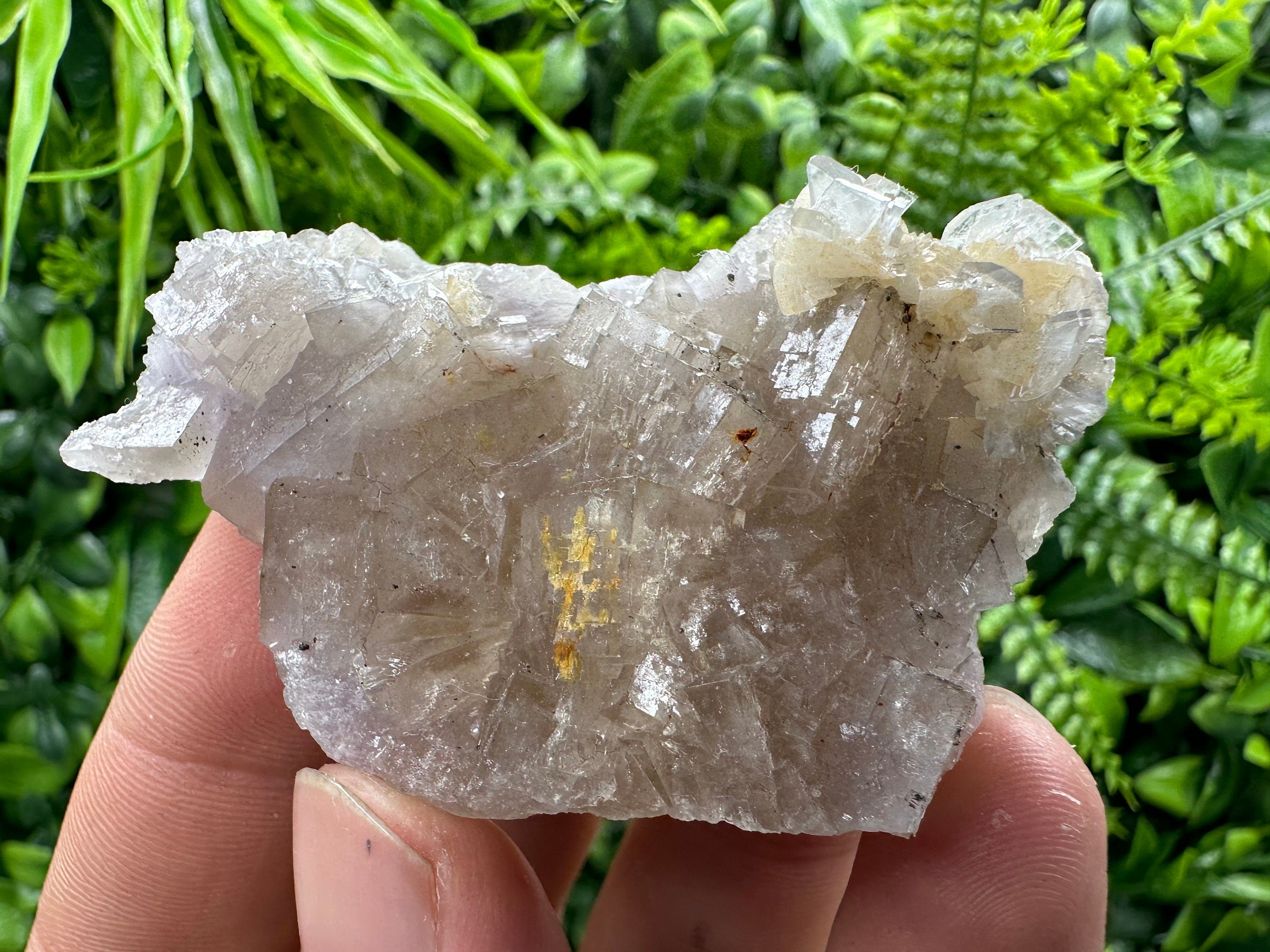 Spanish Fluorite Mineral Specimen: Crystal Collection