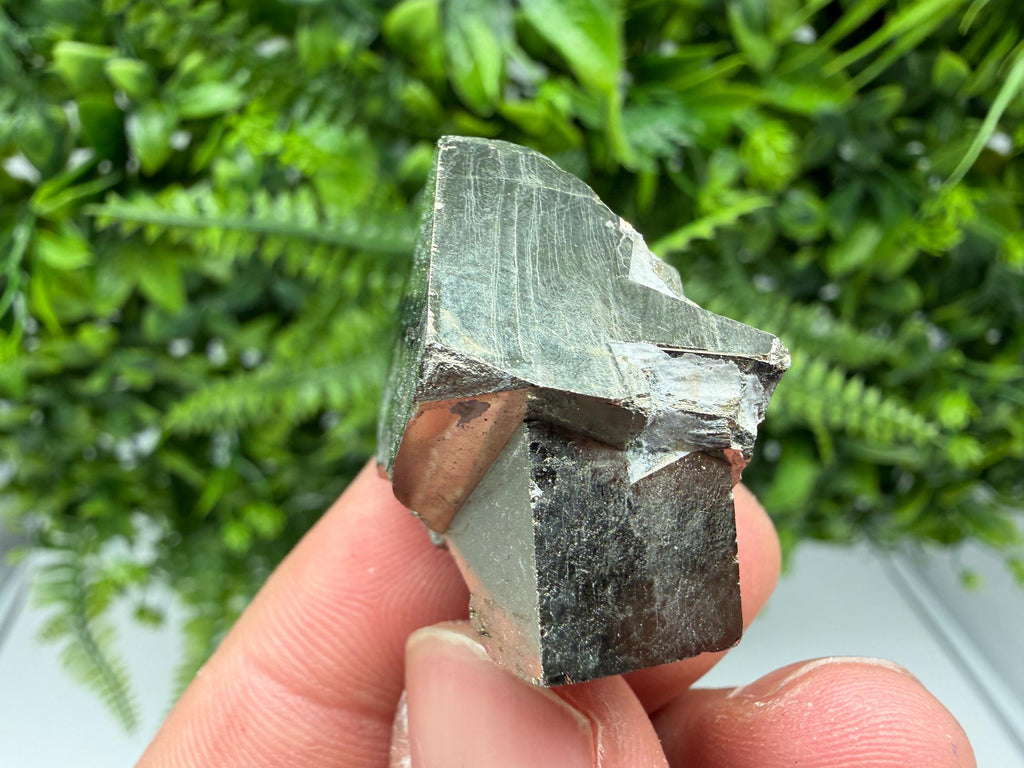 Interjoined Pyrite Cube, La Rioja Spain, Home Decor Stone
