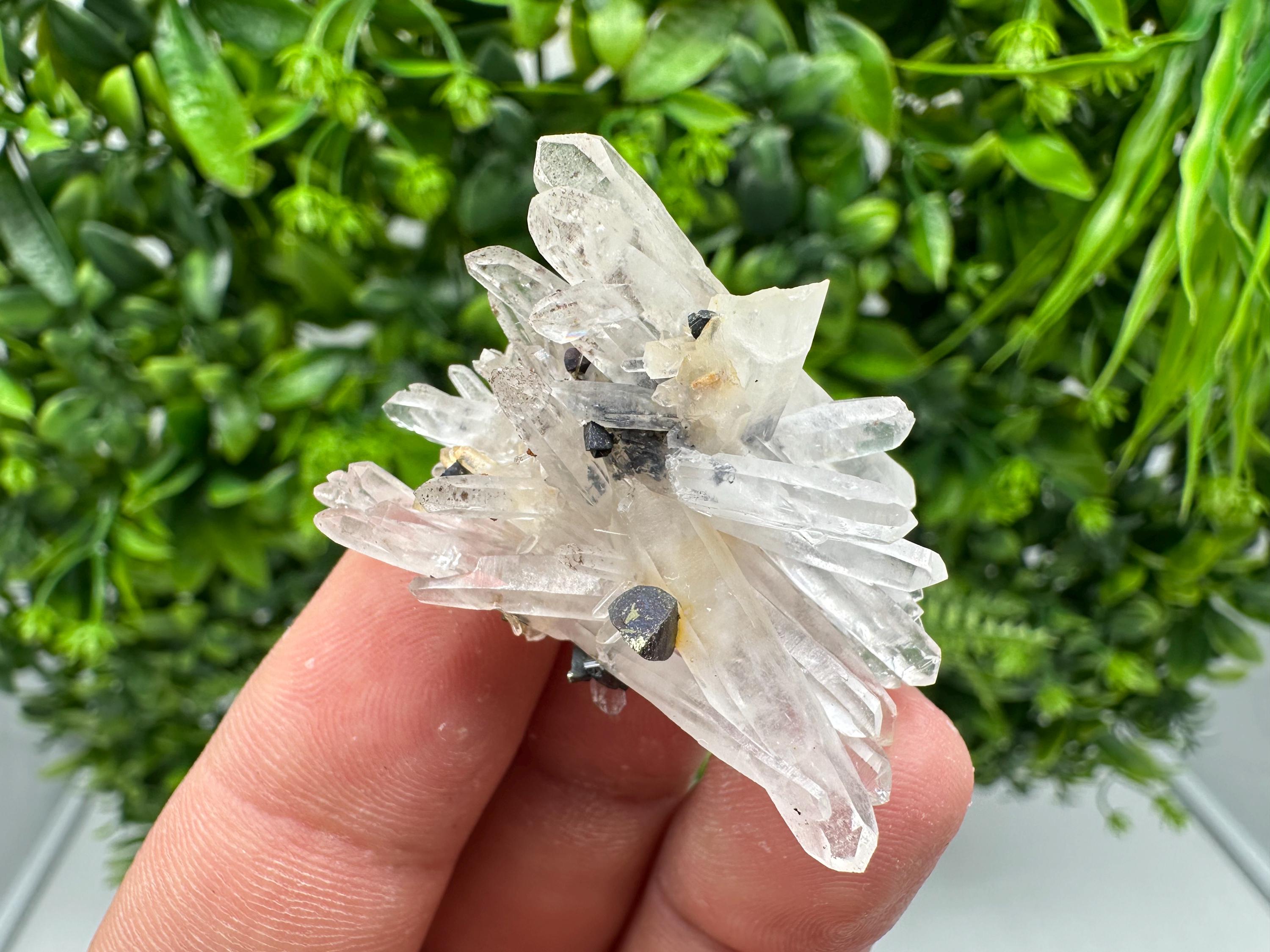 Wonderful Sphalerite Chalcopyrite on  Quartz whit Hematite feom 9 th September mine,Bulgaria,natural,collection mineral specimen,gift