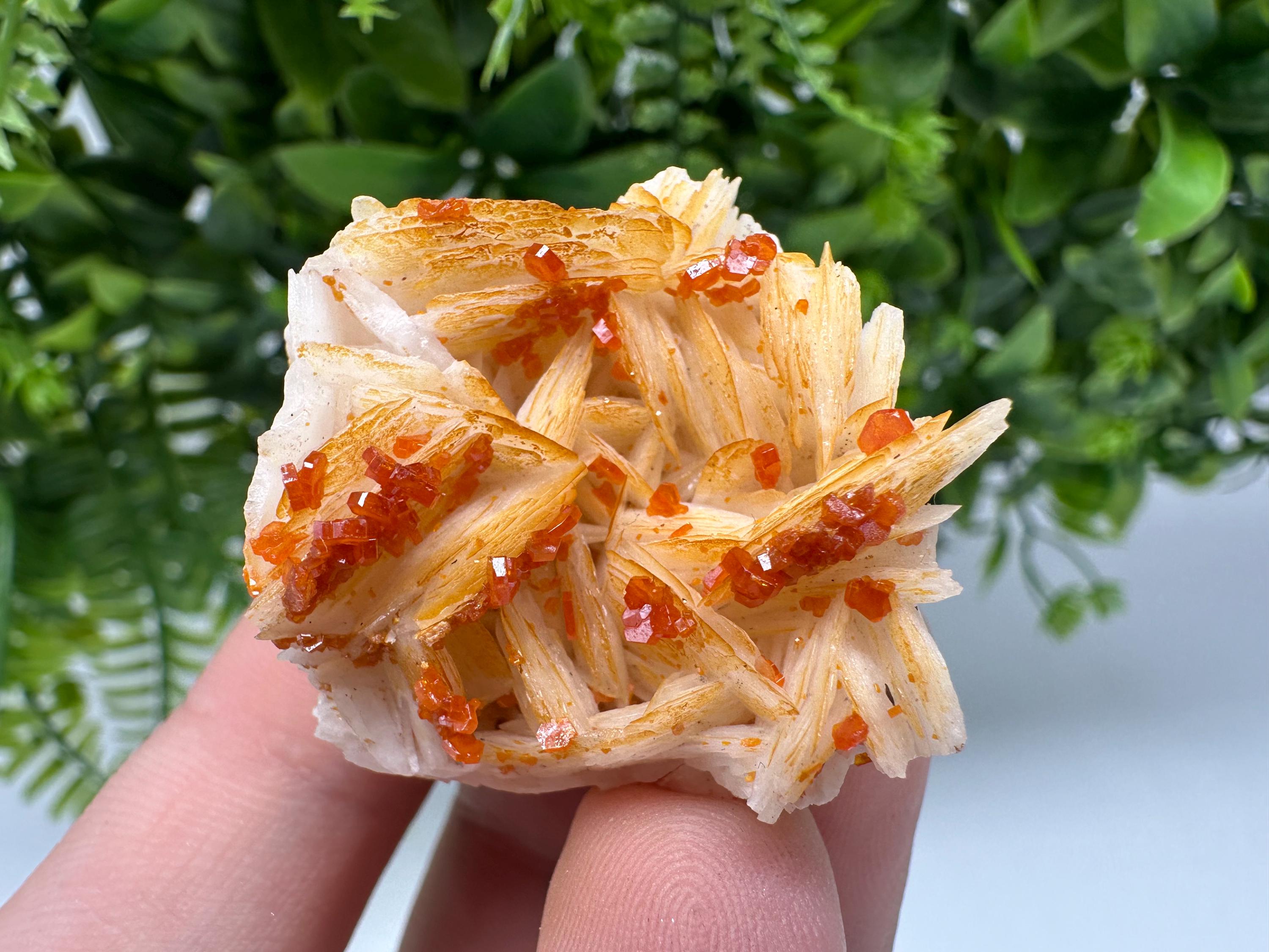 Red Vanadinite on Barite from Marocco,crystal minerals Speciment cluster Vanadinite crystal Vanadinite Geology Vanadinite cluster minerals