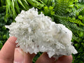 Calcite on Quartz Crystal: Borieva Mine, Bulgaria (6/5/3cm)