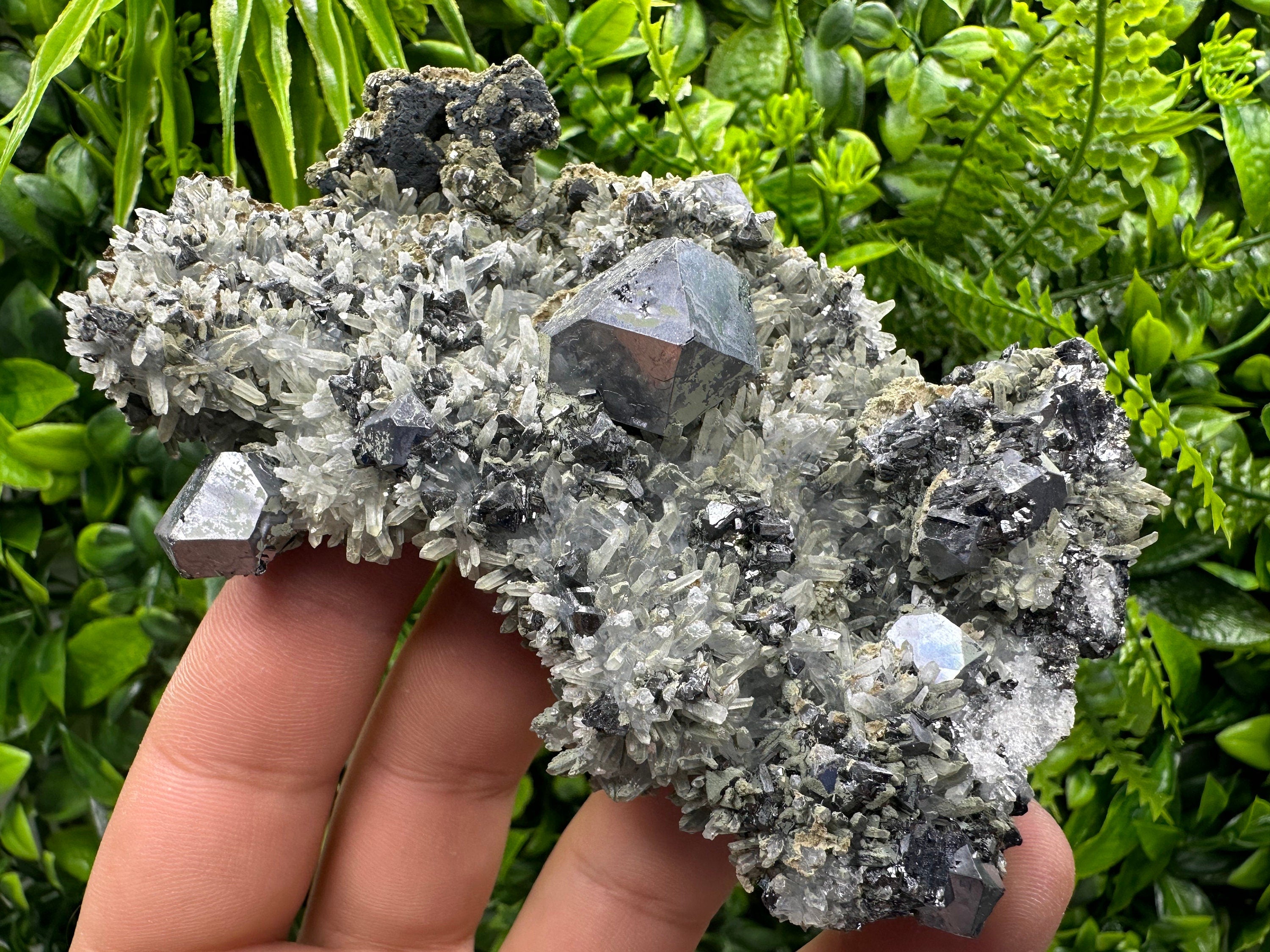 Galena Pyrite Sphalerite on Quartz, Madan Bulgaria Mineral Specimen