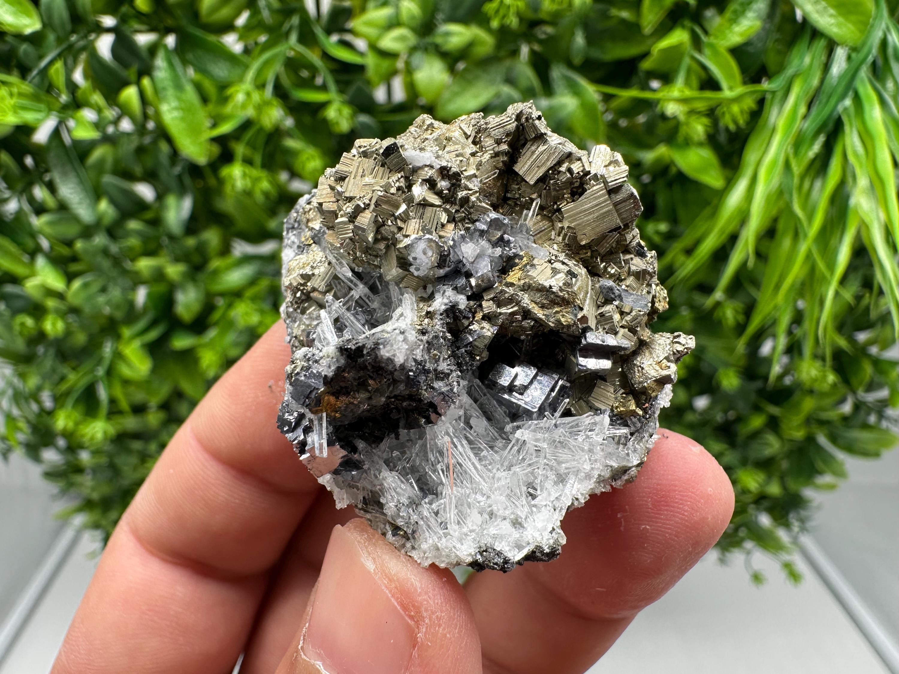 Rainbow Pyrite with Quartz: Natural Mineral Souvenir, Bulgaria