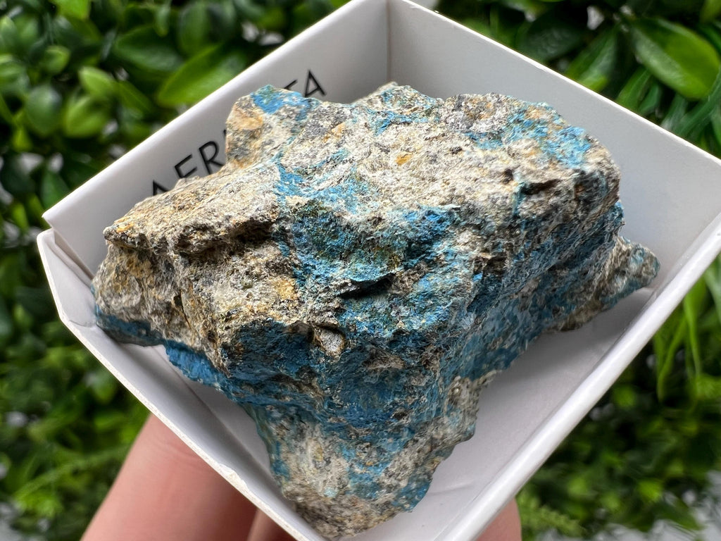 Rare Raw Aerinite Mineral Specimen: Lleida, Spain Collection Crystal