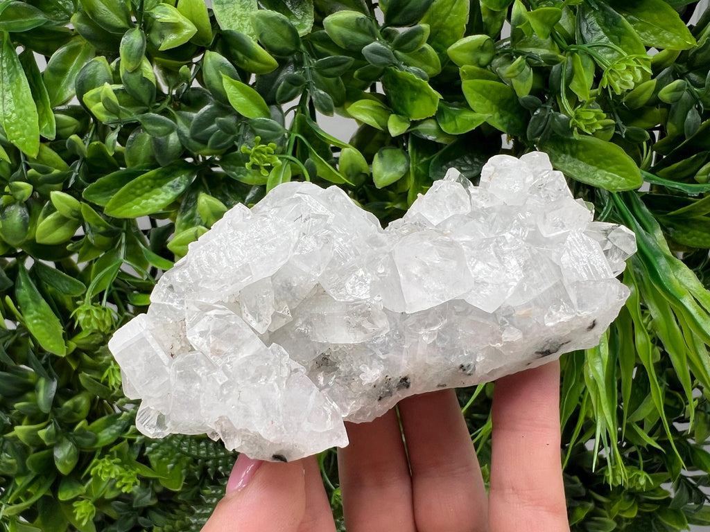 Apophyllite on Chalcedony Specimen: India Minerals Collection