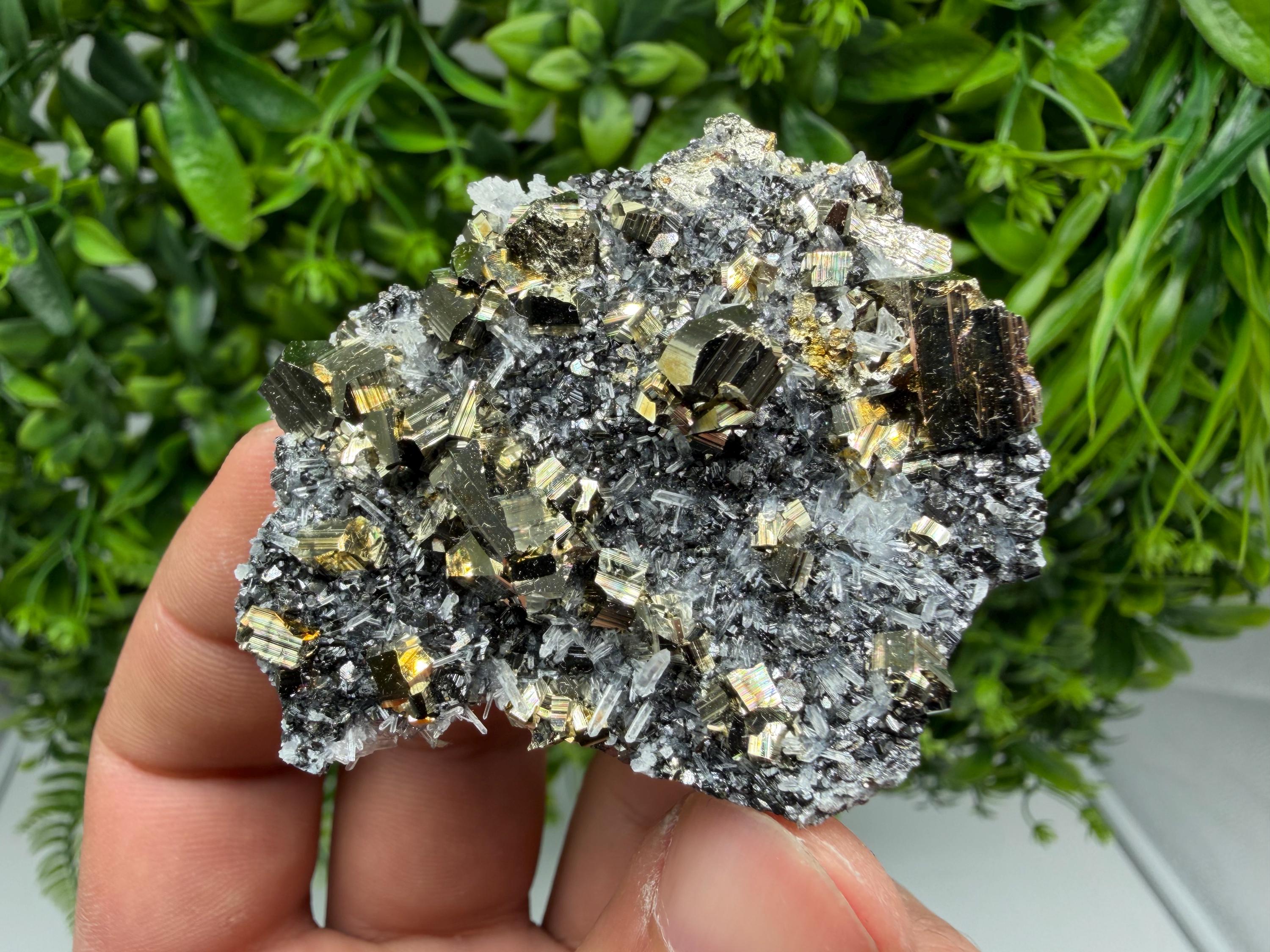 Pyrite Sphalerite Quartz  Mineral Specimen, Krushev dol Mine