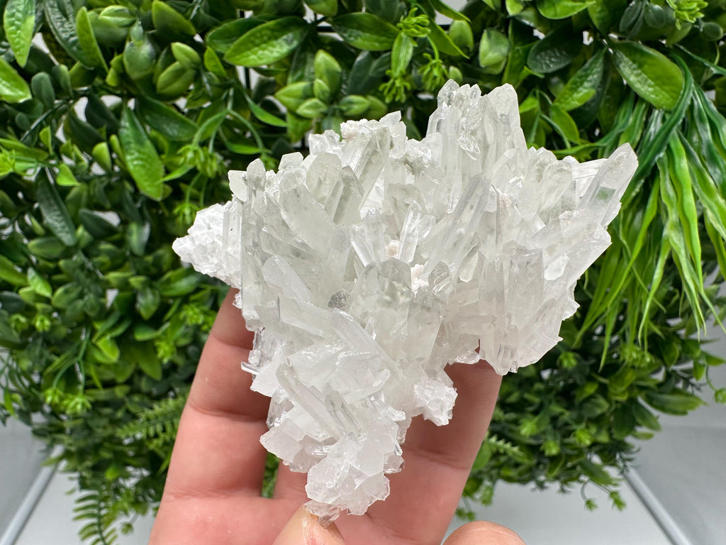 Transparent Quartz Crystal: Djurcovo Mine, Bulgaria