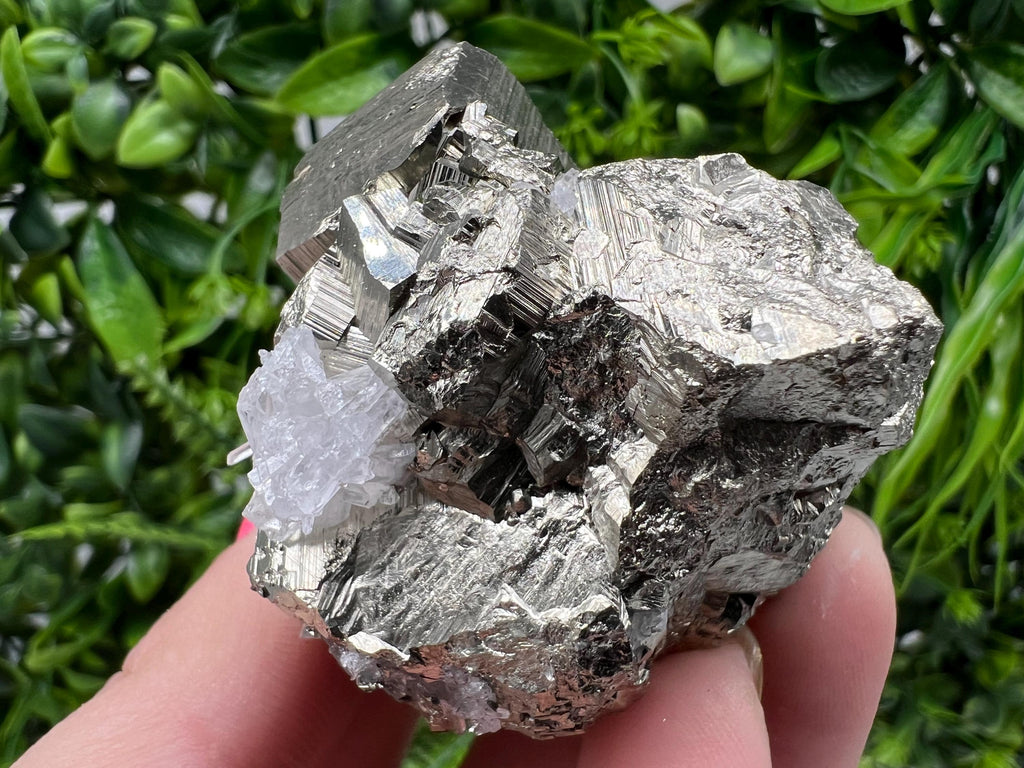 Rare Pyrite Cluster, Natural Crystal Mineral Specimen, Bulgaria
