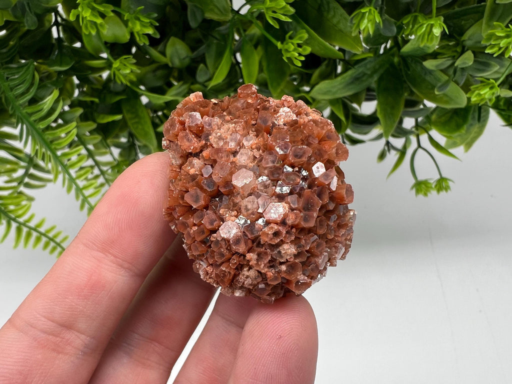 Extra Large Aragonite Sputnik Cluster: Raw Moroccan Crystal Decor