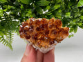 Citrine Crystal with Hematite Inclusions: Natural Phantom Cluster