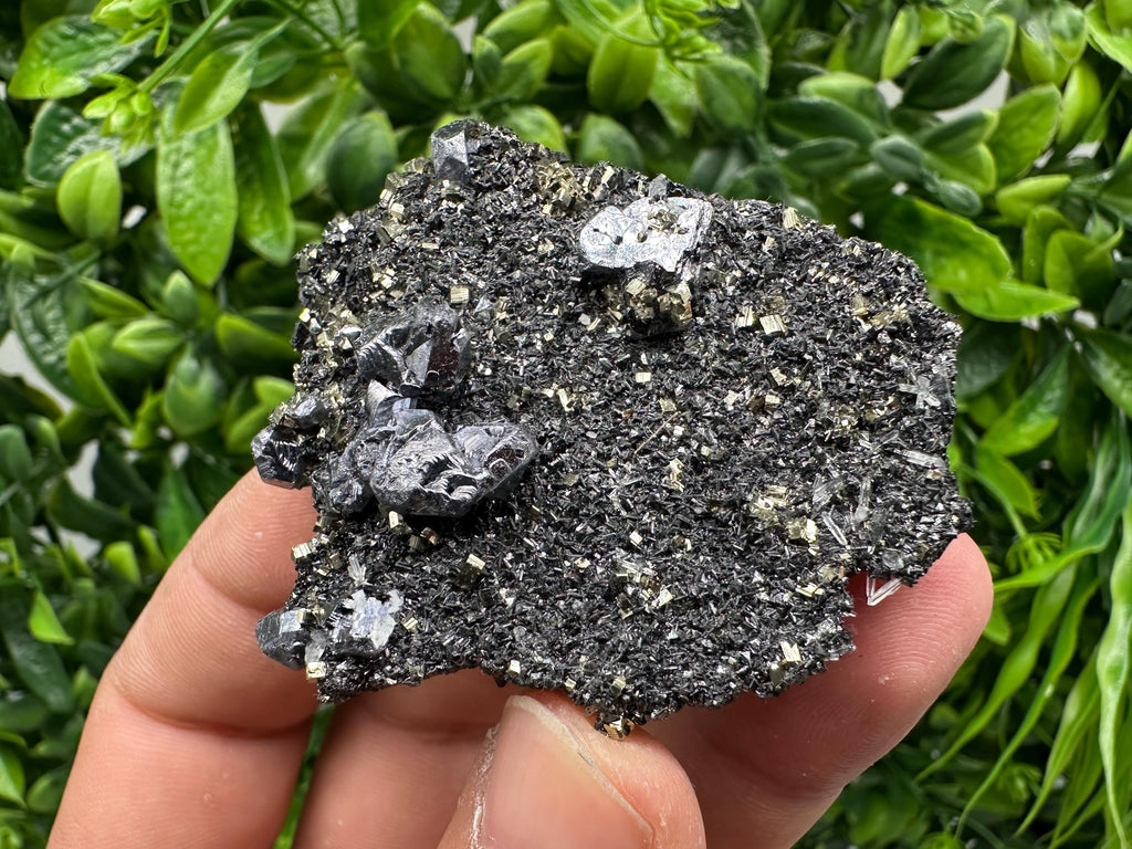Galena Sphalerite Pyrite Crystal, Borieva Mine, Bulgaria