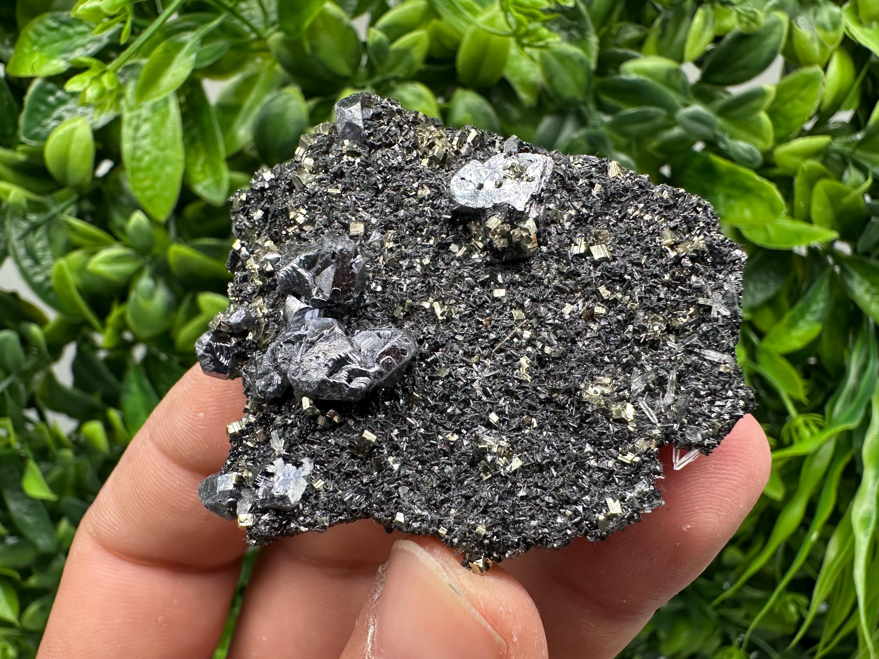 Galena Sphalerite Pyrite Crystal, Borieva Mine, Bulgaria