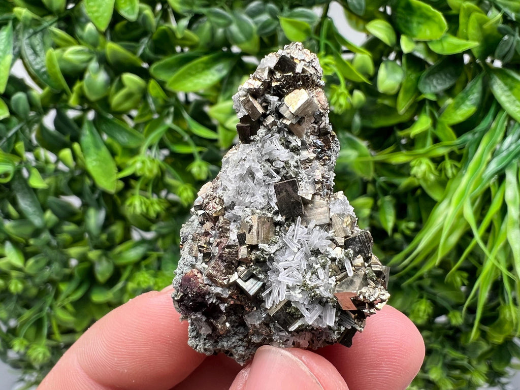 Pyrite on Green Quartz Mineral Specimen, Borieva Mine Bulgaria