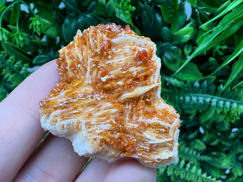 Red Vanadinite on Barite from Marocco,crystal minerals Speciment cluster Vanadinite crystal Vanadinite Geology Vanadinite cluster minerals
