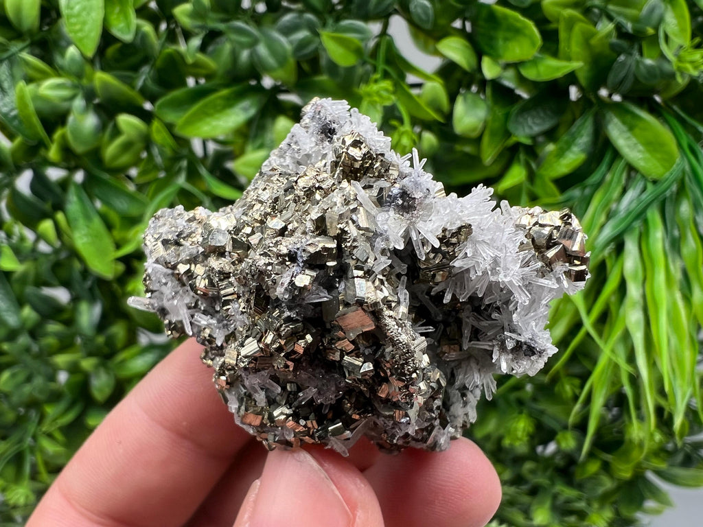 Pyrite on Green Quartz Mineral Specimen, Borieva Mine Bulgaria