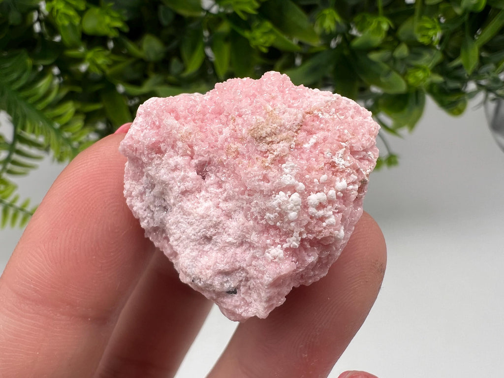 RARE Rhodochrosite with Calcite, Starnica Mine, Bulgaria