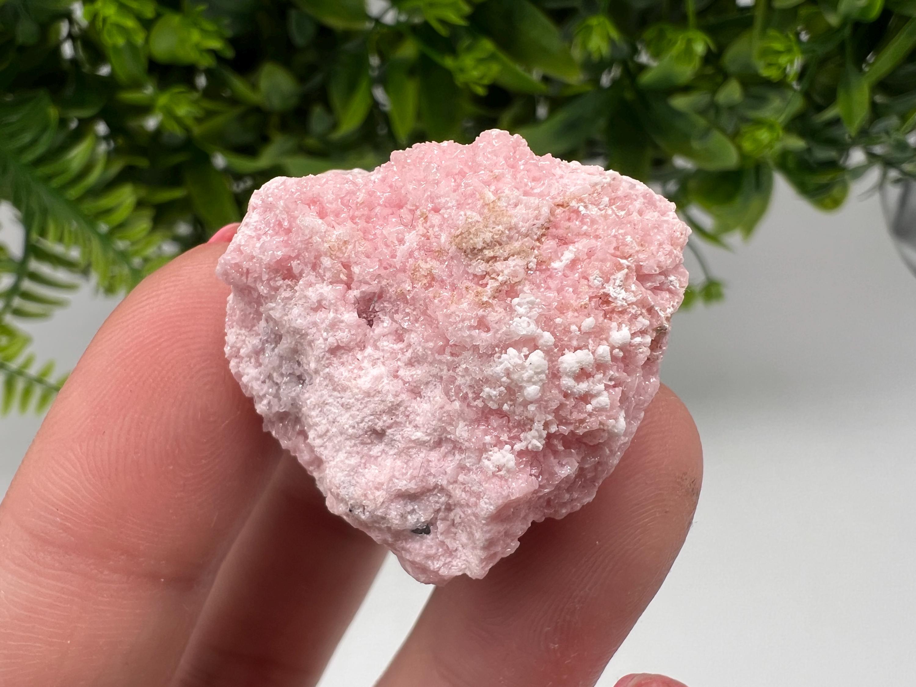 RARE Rhodochrosite with Calcite, Starnica Mine, Bulgaria