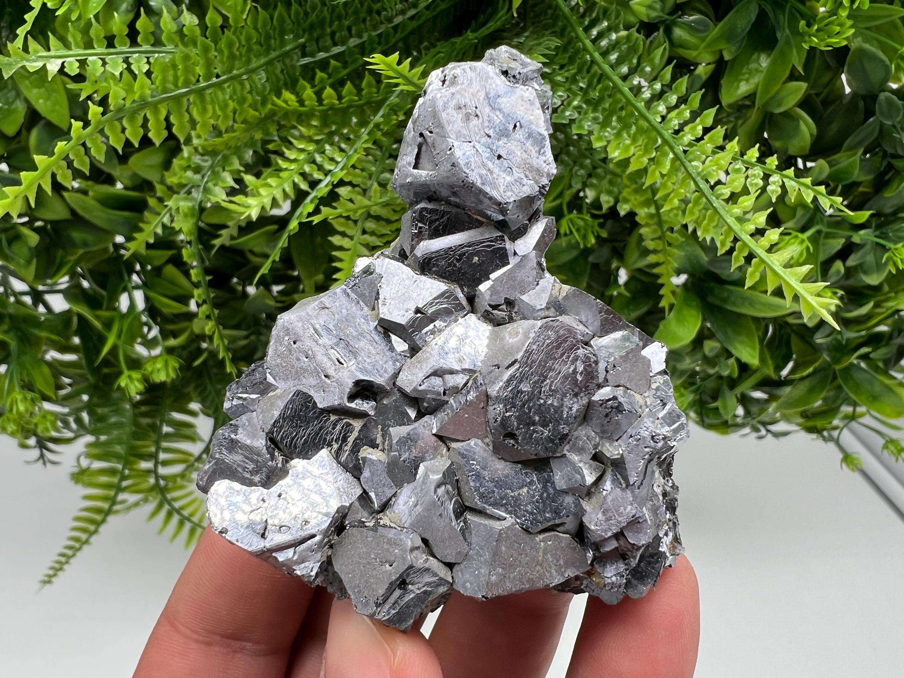 Mirror Galena Mineral Specimen: Rare Crystal from Krushev dol Mine