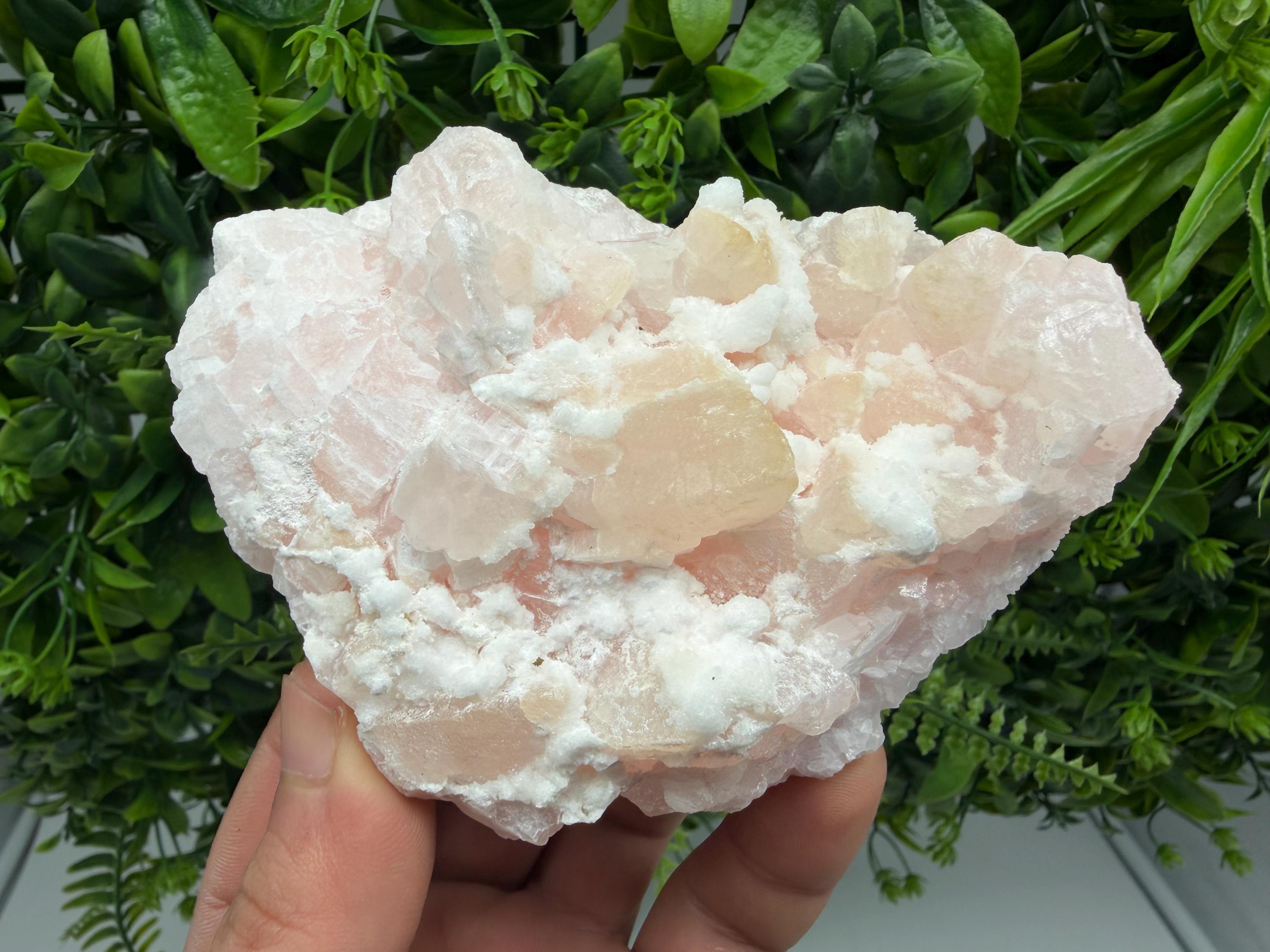 Incredible UV reaction Mangano Calcite, natural minerals souvenir crystal,collection stone Home decor minerals gift Androvo mine Bulgaria