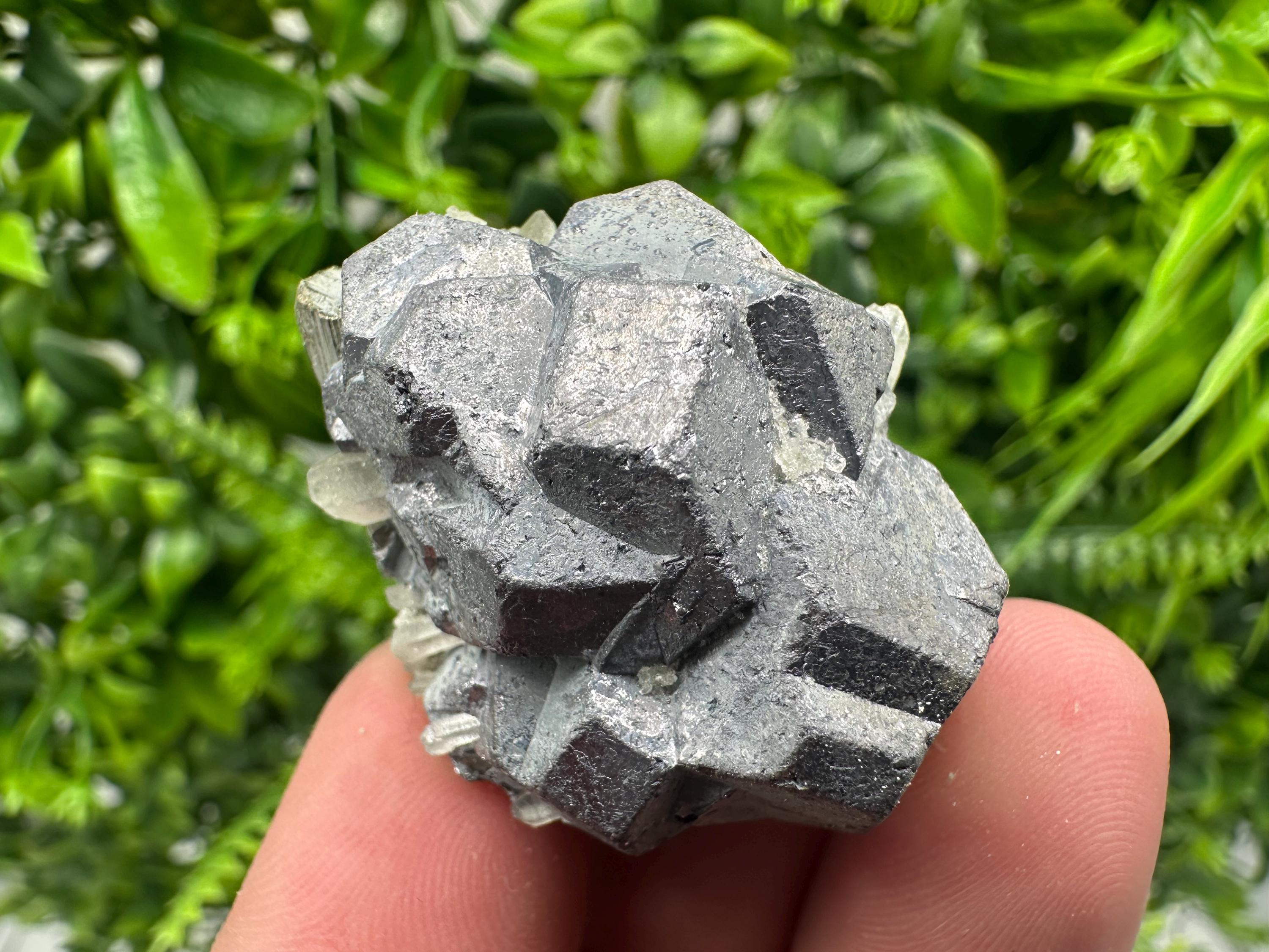 Galena on Pyrite Mineral Specimen, Borieva Mine, Bulgaria