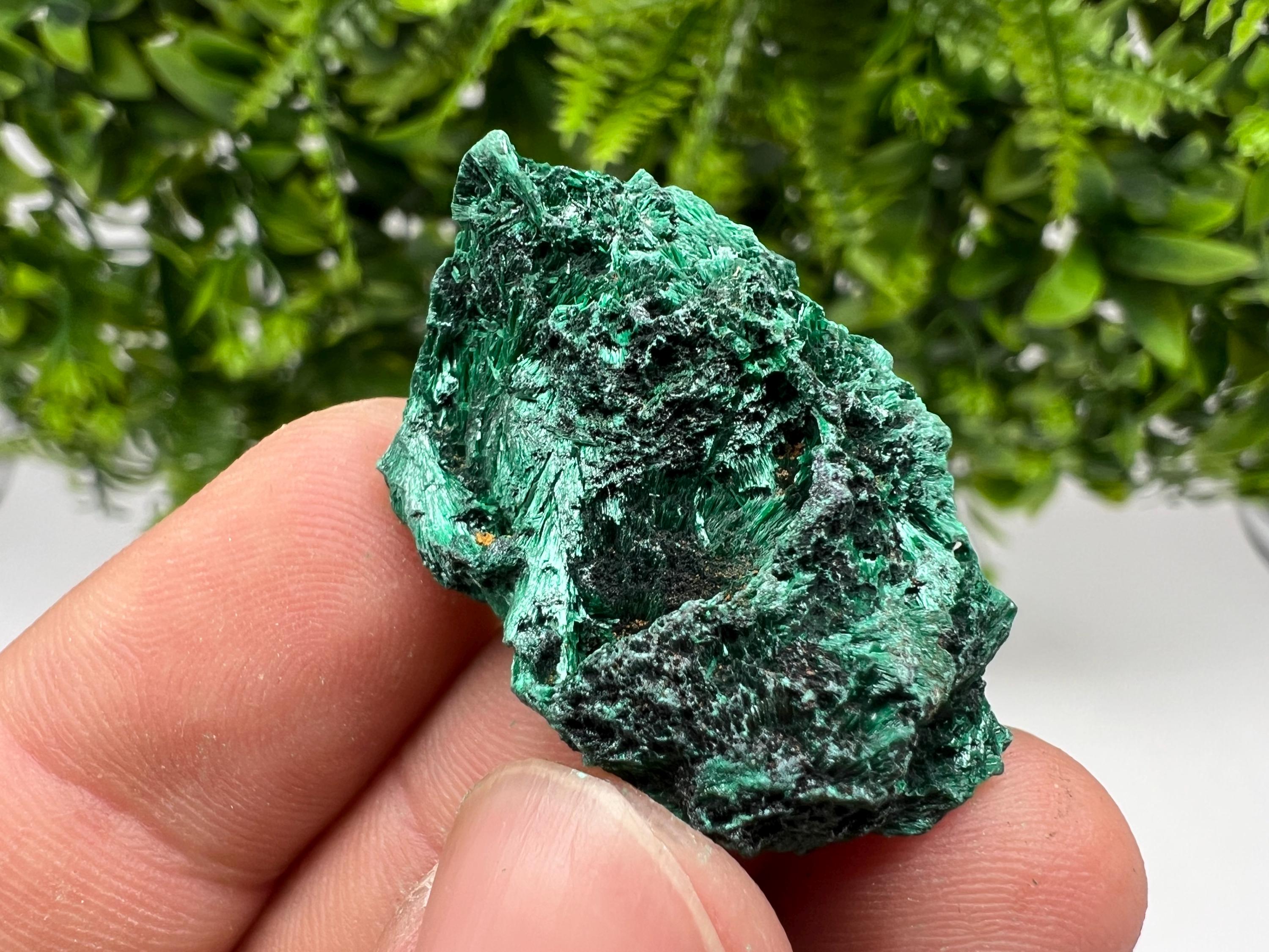 Malachite Crystal from Congo,Minerals,Crystals from Congo,Green Malachite, Malachite,Natural Malachite,Malachite Stone,Chakra, Specimens
