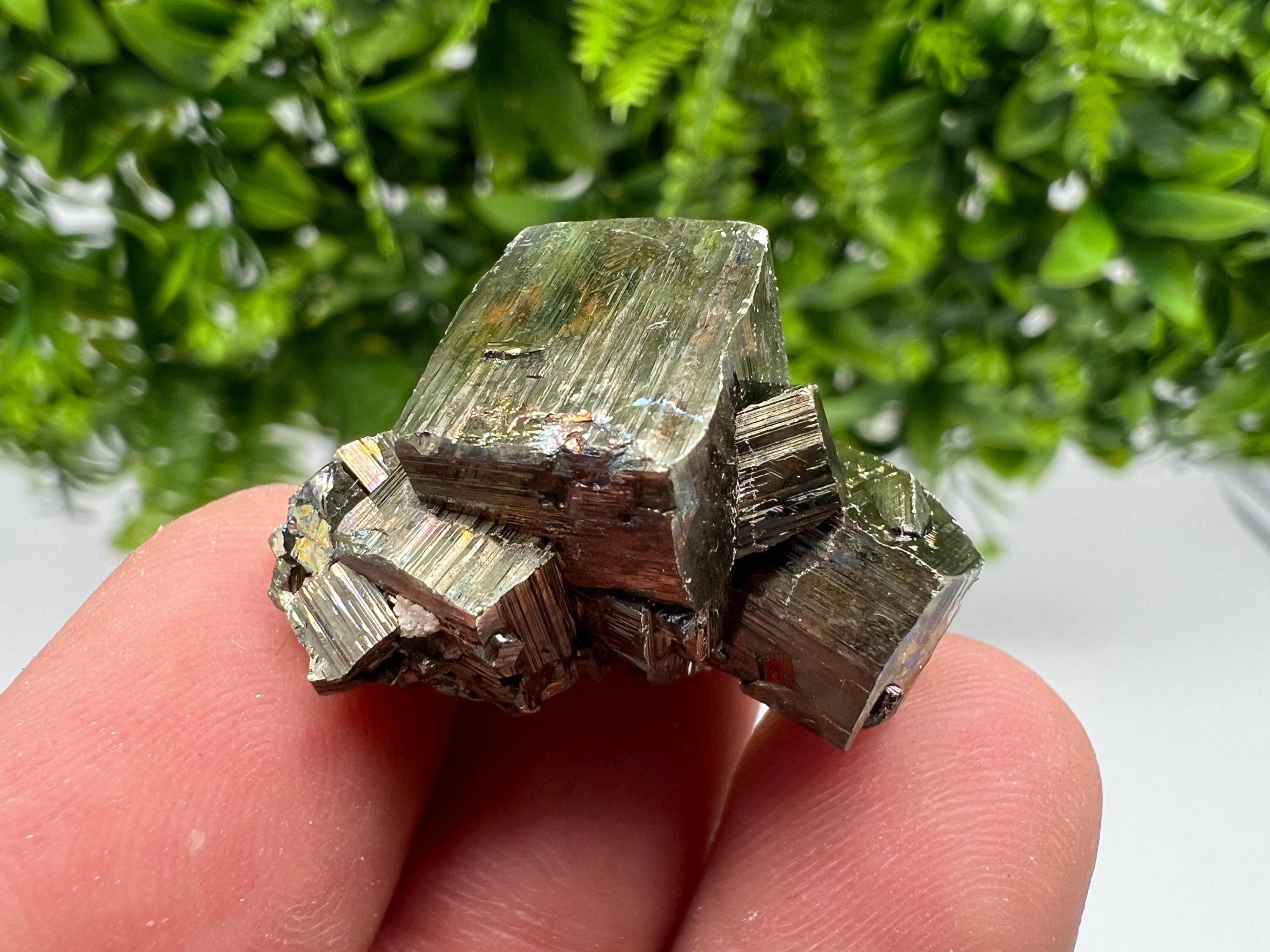 Rainbow Pyrite Hematite Cluster: Borieva Mine, Bulgaria