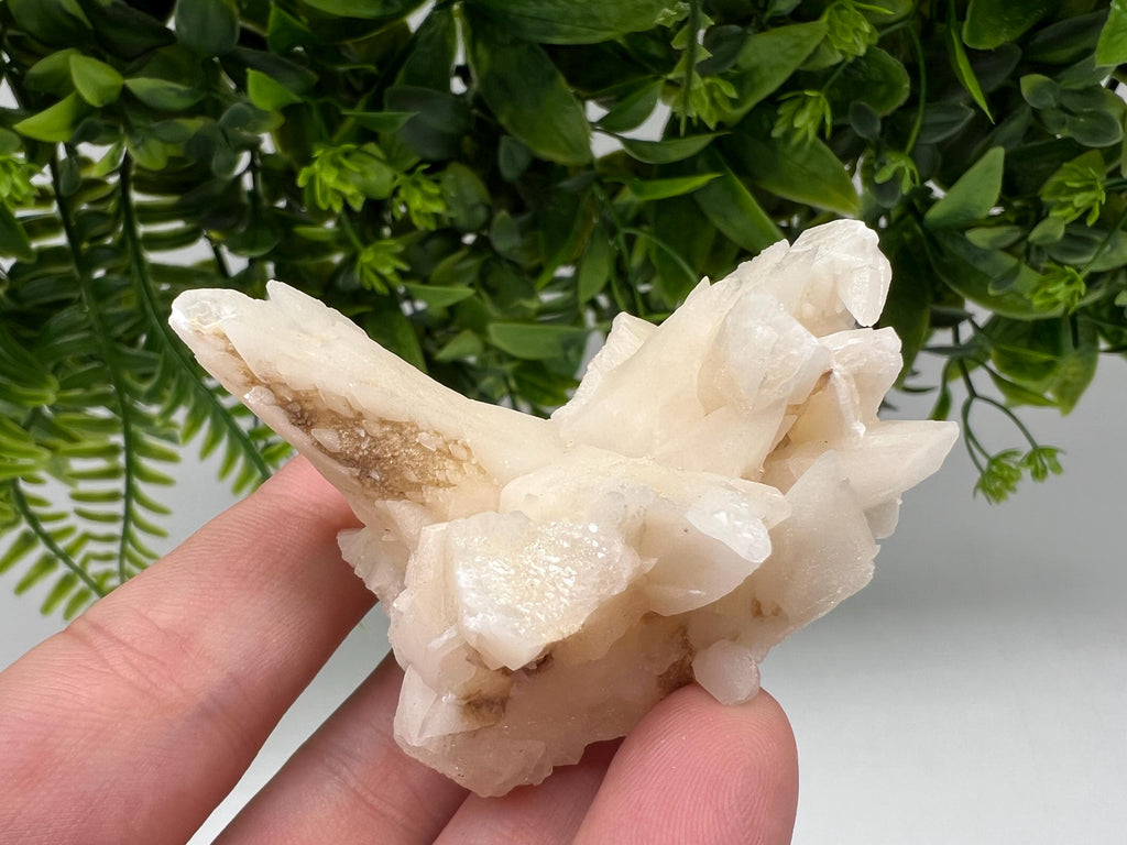 Calcite on Green Quartz: Djurcovo Mine, Bulgaria Healing Crystal