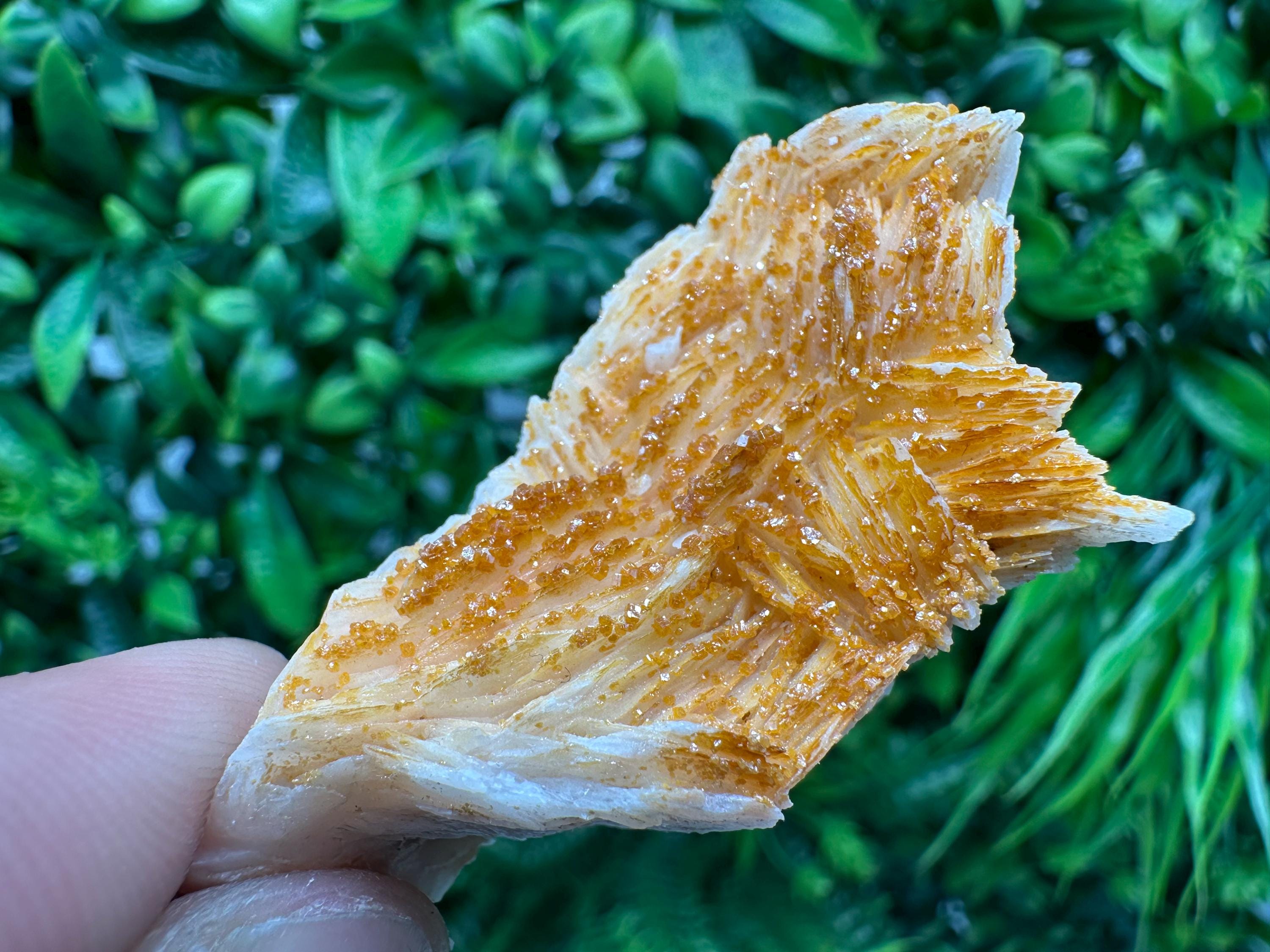 Red Vanadinite on Barite, Morocco Crystal Specimen