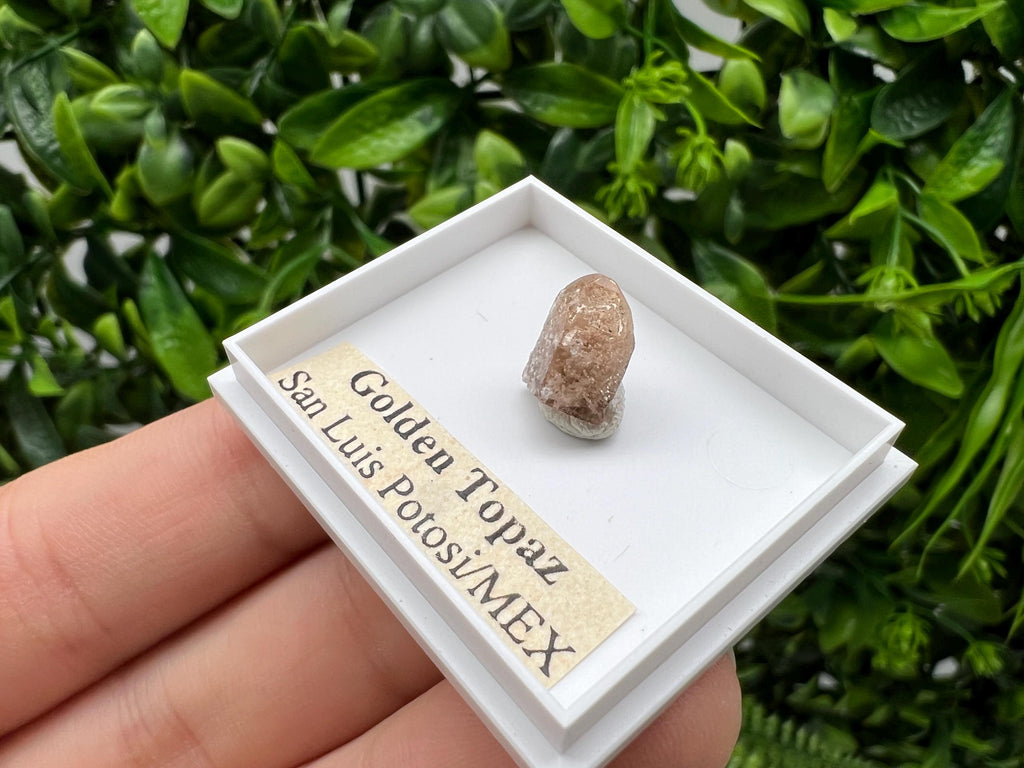 Beautiful Golden Topaz from Mexico,collection piece Crystal,Mineral,collectibles,Collectors, Natural Crystal, Minerals from Mexico,original,