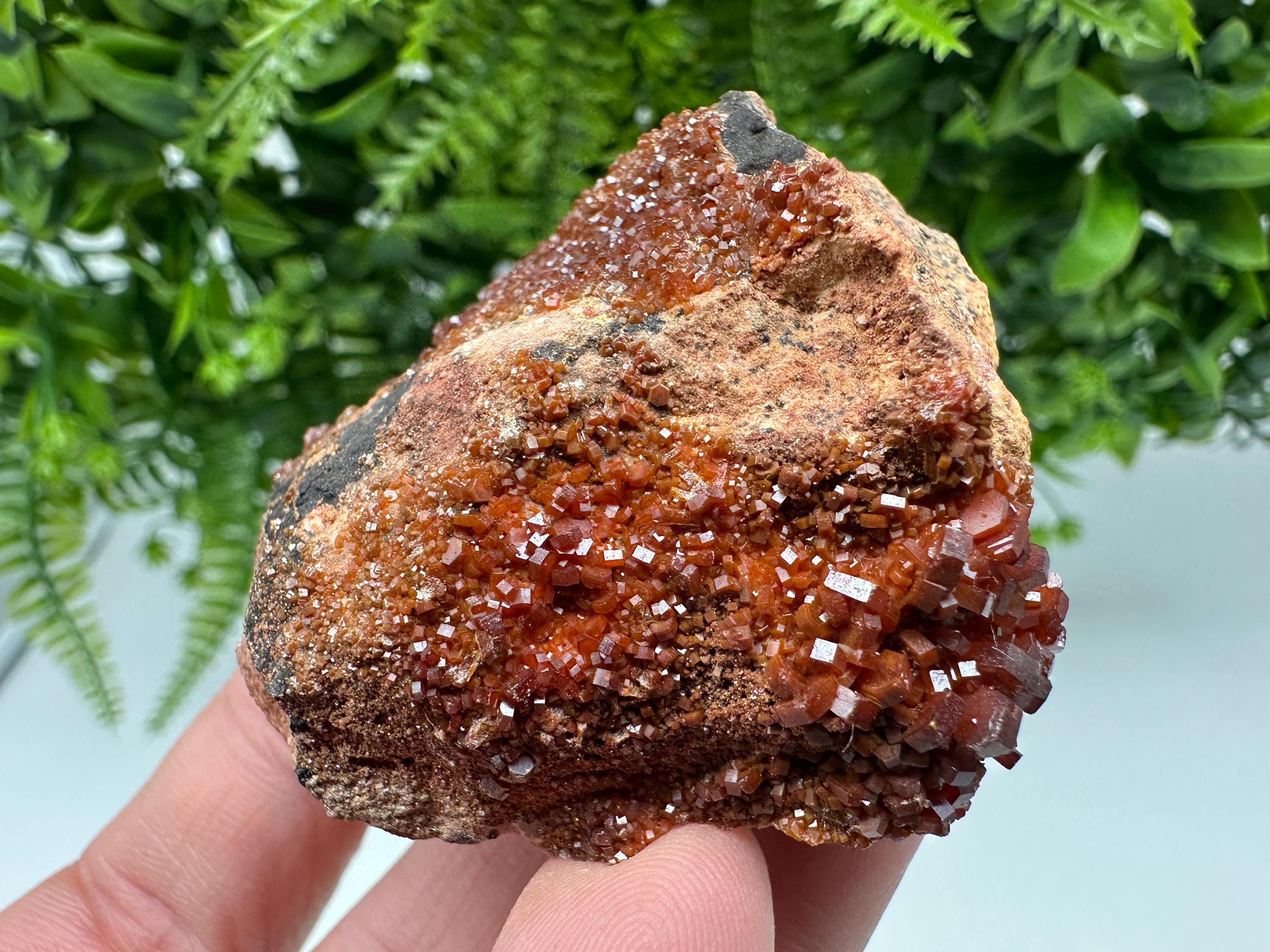 Red Vanadinite on Matrix from Marocco,crystal minerals Speciment cluster Vanadinite crystal Vanadinite Geology Vanadinite cluster minerals