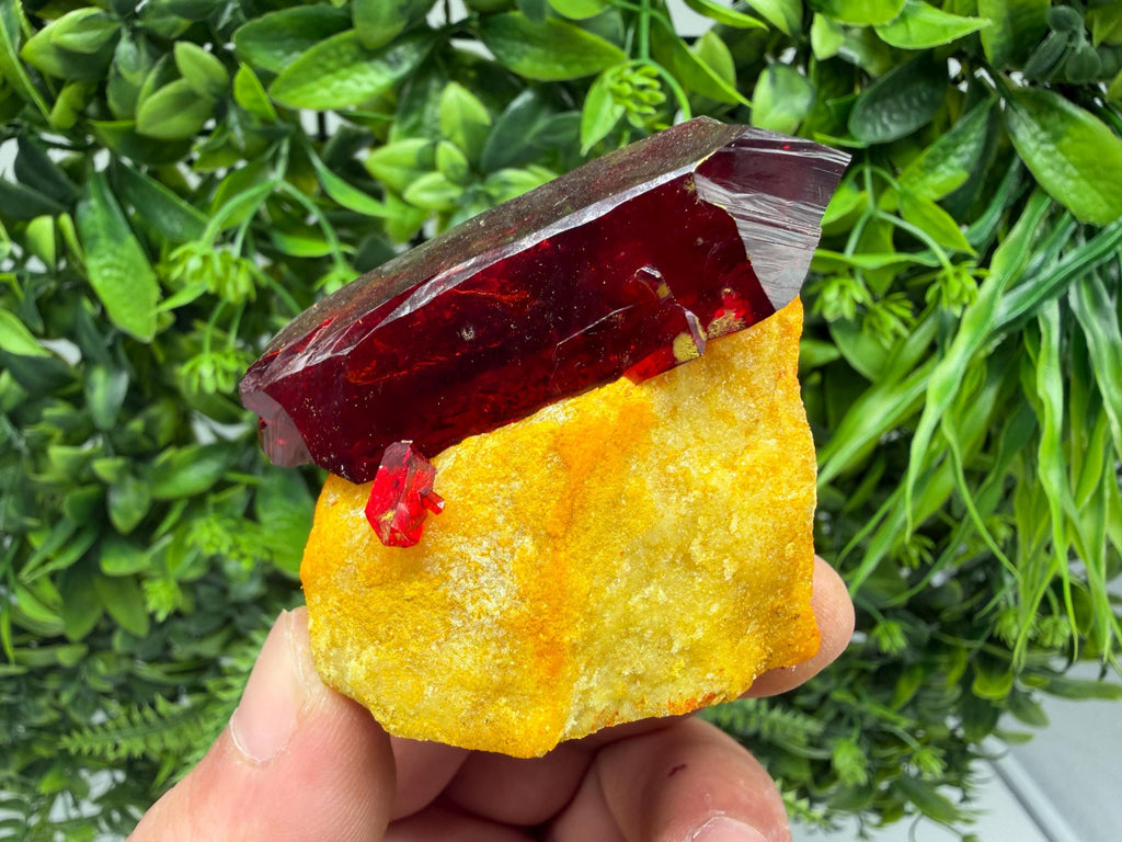 XXL Laboratory Pruskite Ruby Crystal on Matrix