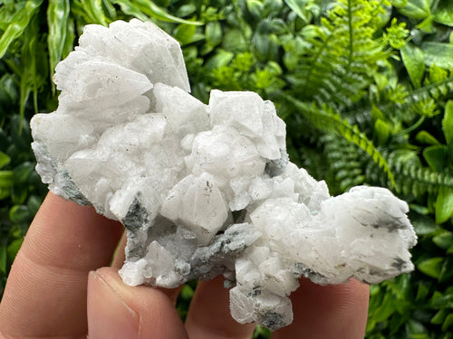 Calcite on Green Quartz: Djurcovo Mine, Bulgaria