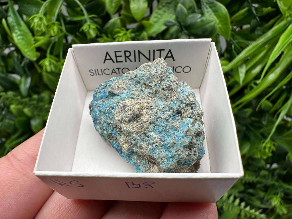 Rare Raw Aerinite Mineral Specimen: Lleida, Spain Crystal