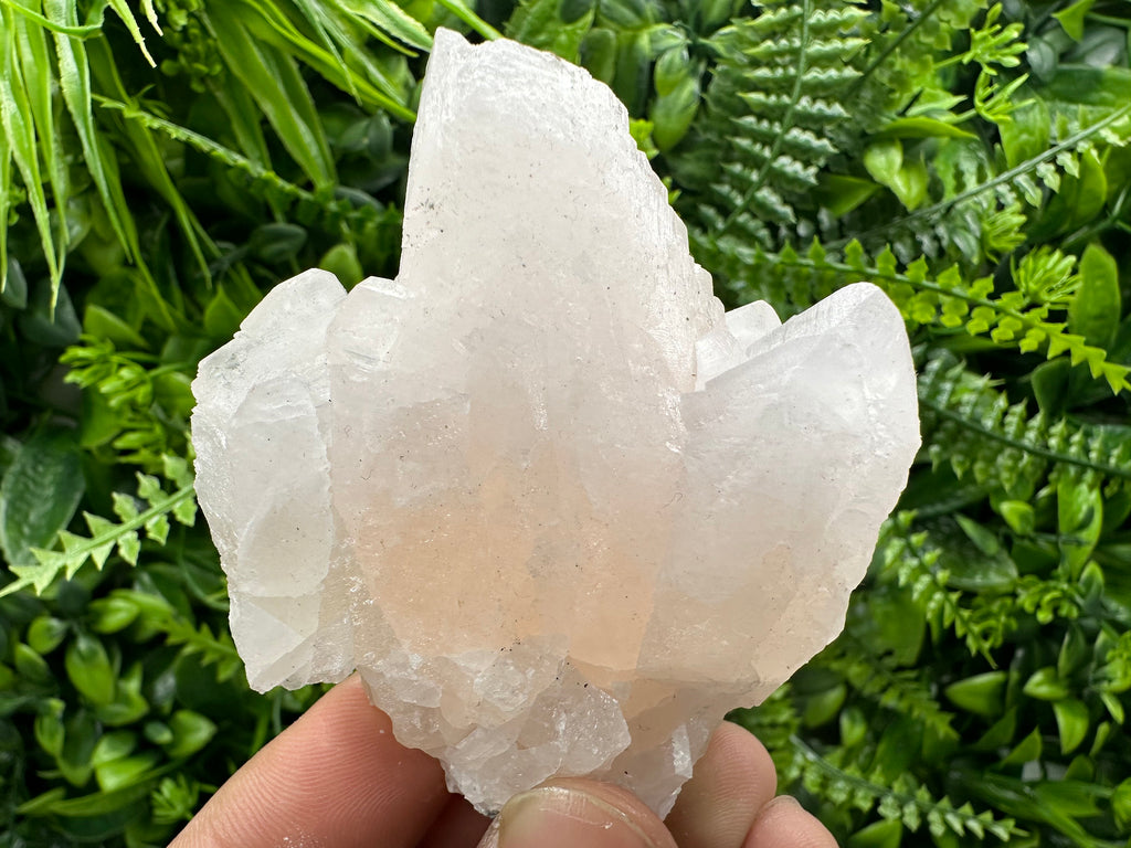 UV Reactive Mangano Calcite Crystal: Androvo Mine, Bulgaria