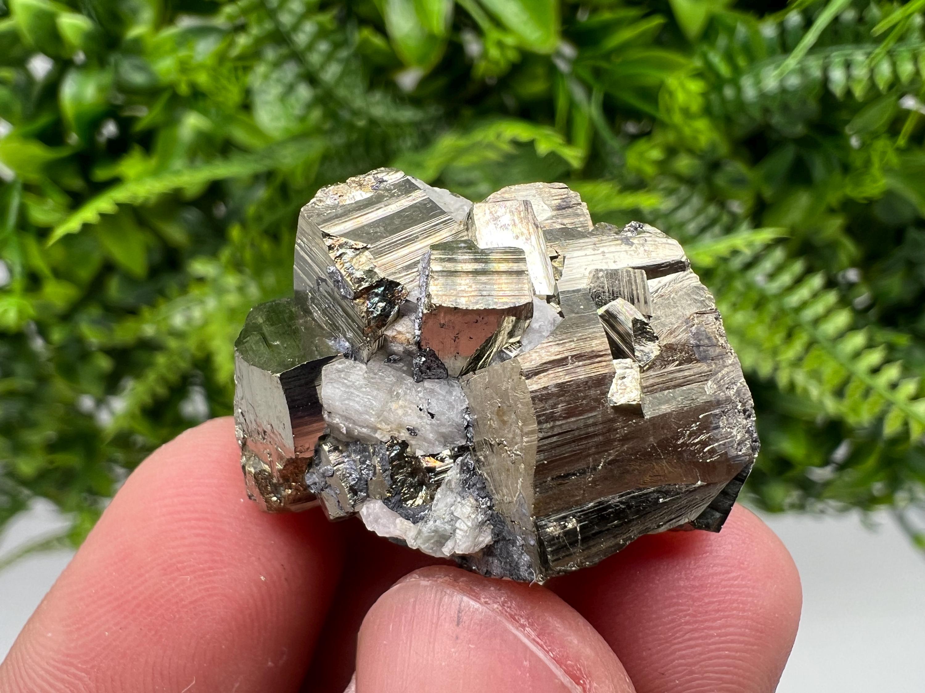Mini Rainbow Pyrite Cluster: Borieva Mine, Bulgaria