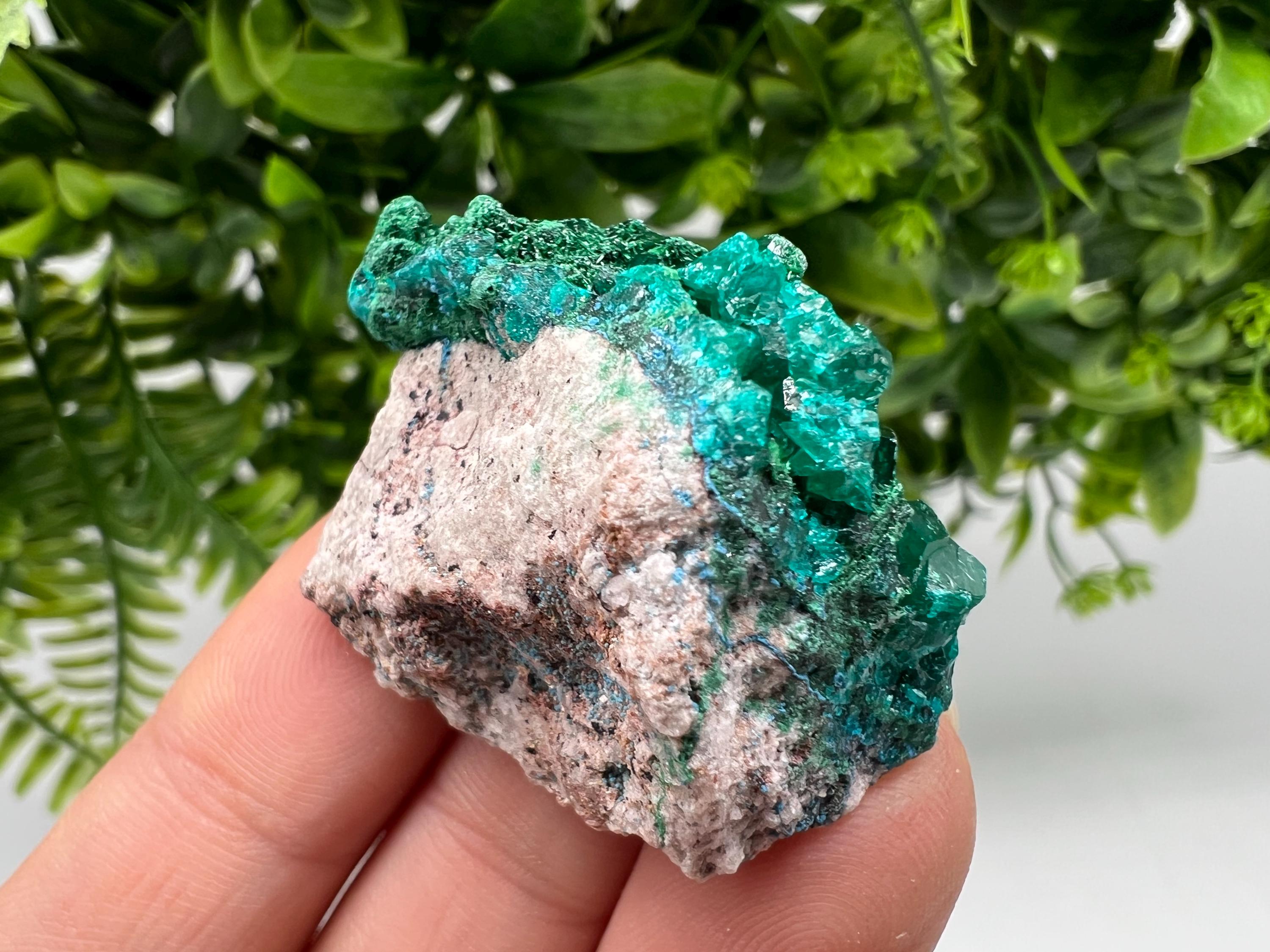 Stunning Green Dioptase from Sanda Hills,Mindouli,Pool Department,Mindouli District,Congo,green Dioptase,Dioptas Crystal,Dioptase collecting