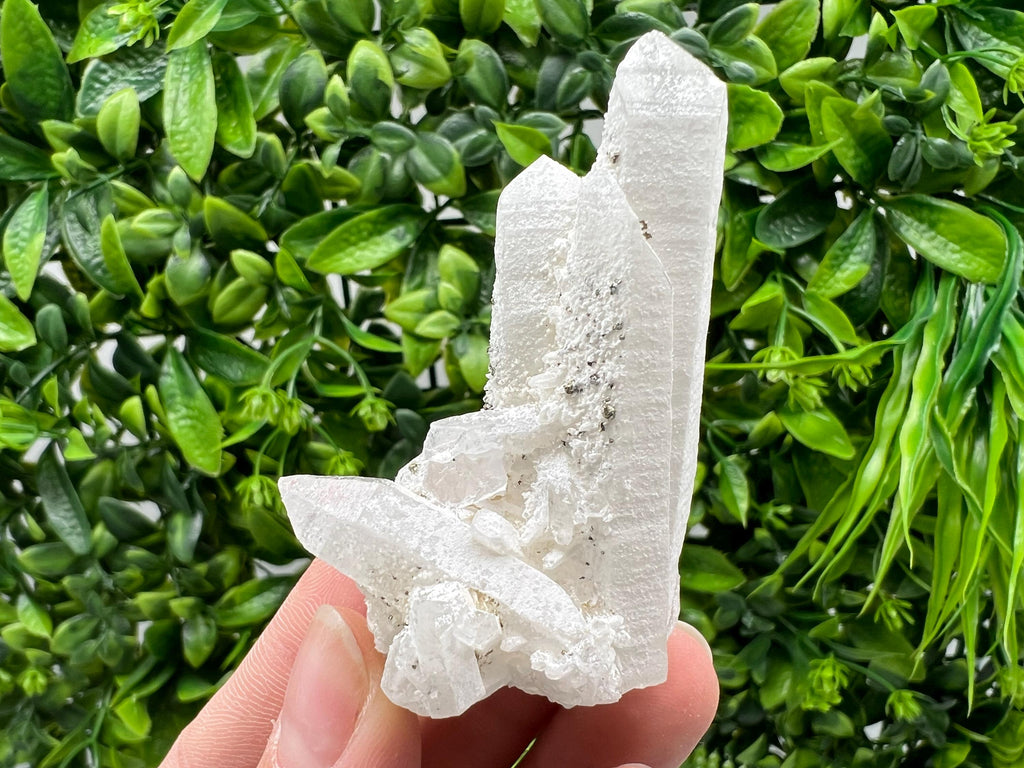 Quartz with Pyrite, Krushev Dol Mine Crystal, Bulgaria