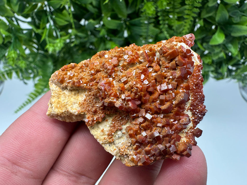 Red Vanadinite on Barite, Moroccan Crystal Mineral Specimen