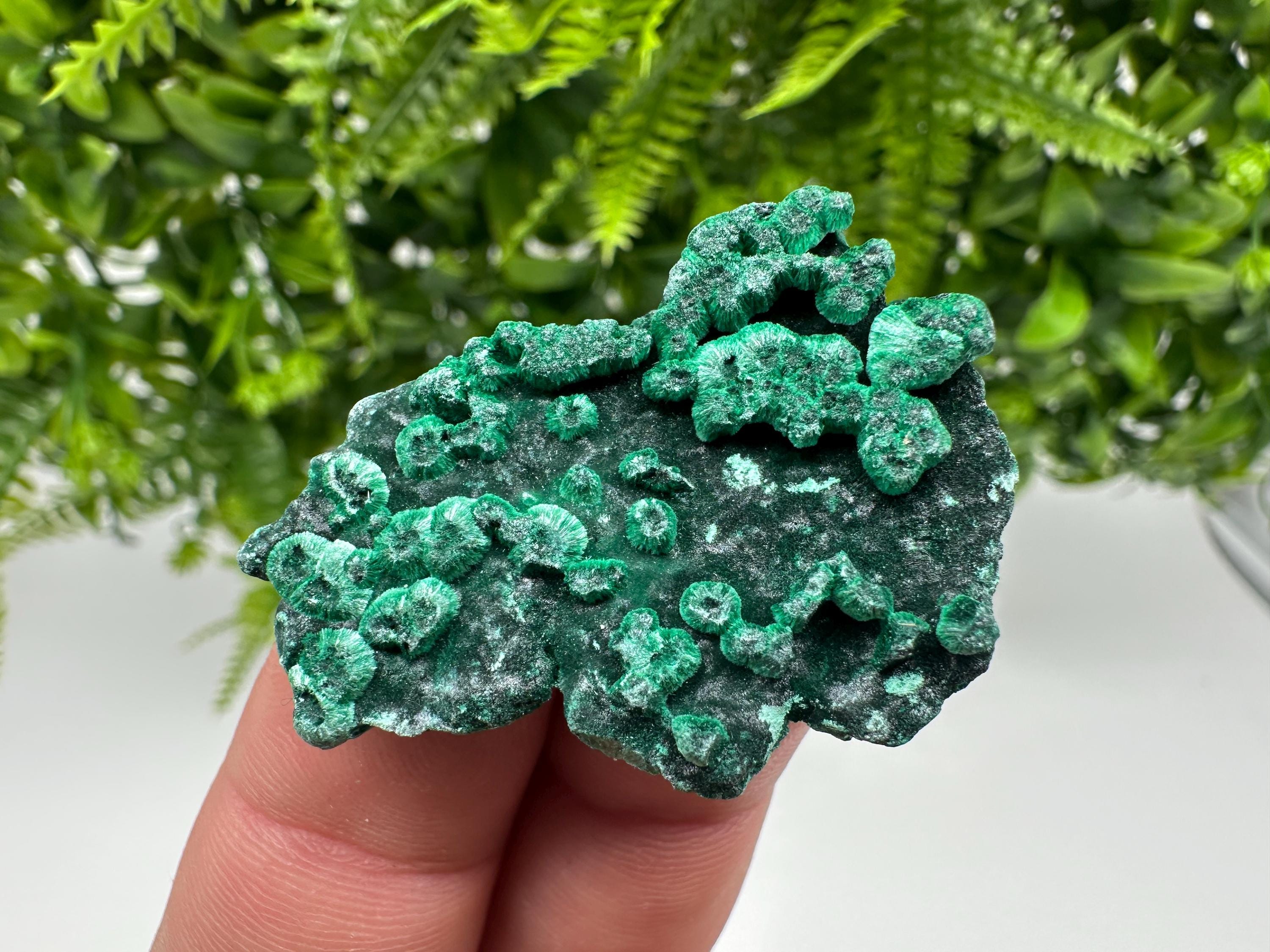 Green Malachite Crystal Specimen: Congo Minerals, Chakra Stone