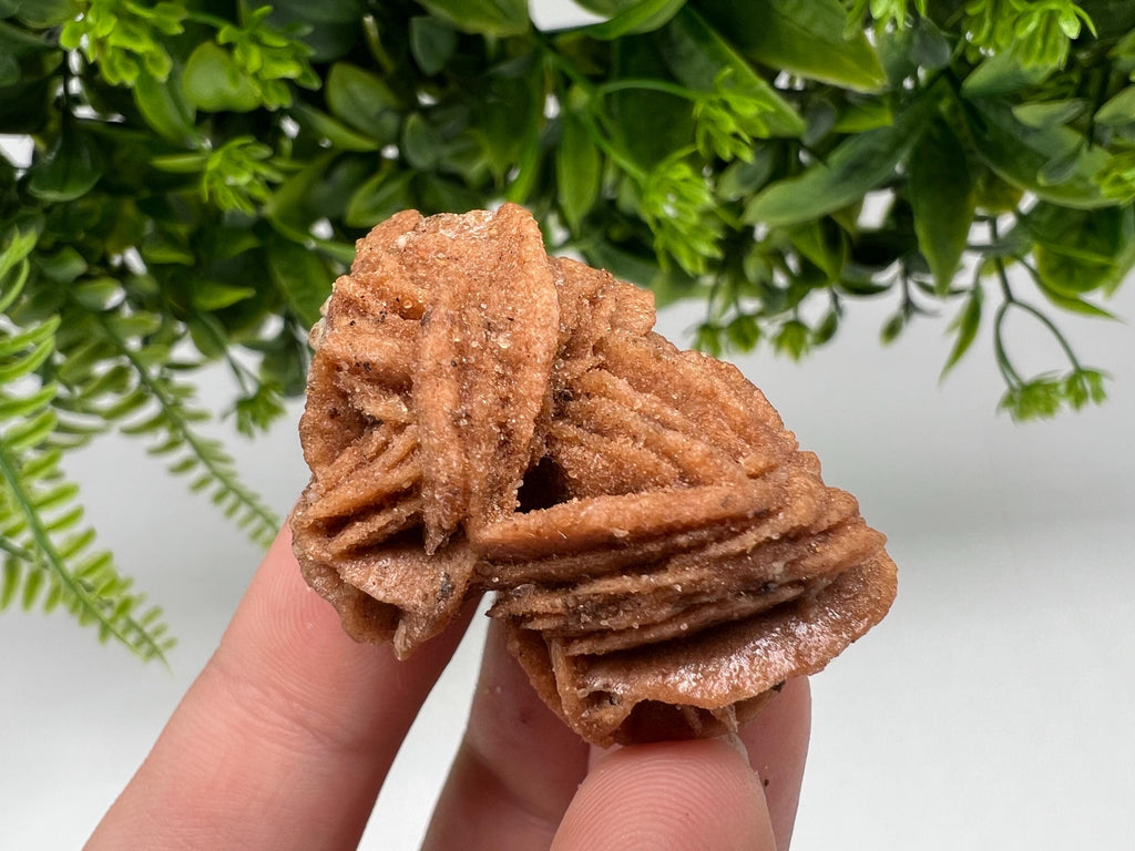Desert Rose Crystal: Root Chakra Healing Selenite Stone