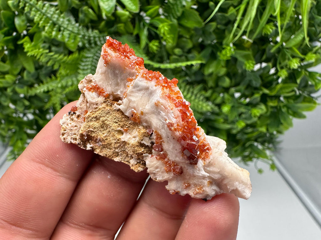 Red Vanadinite on Barite from Marocco,crystal minerals Speciment cluster Vanadinite crystal Vanadinite Geology Vanadinite cluster minerals