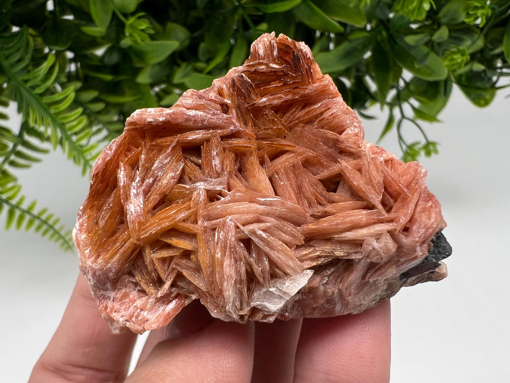 Wonderful Baryte with Cerussite on Galena from Morocco,Crystal, Mineral,Specimen,Cluster,Crystals,Barite Crystal,Cerussite Crystal,Specimen