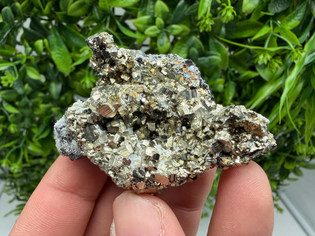 Pyrite Sphalerite Quartz  Mineral Specimen, Krushev dol Mine