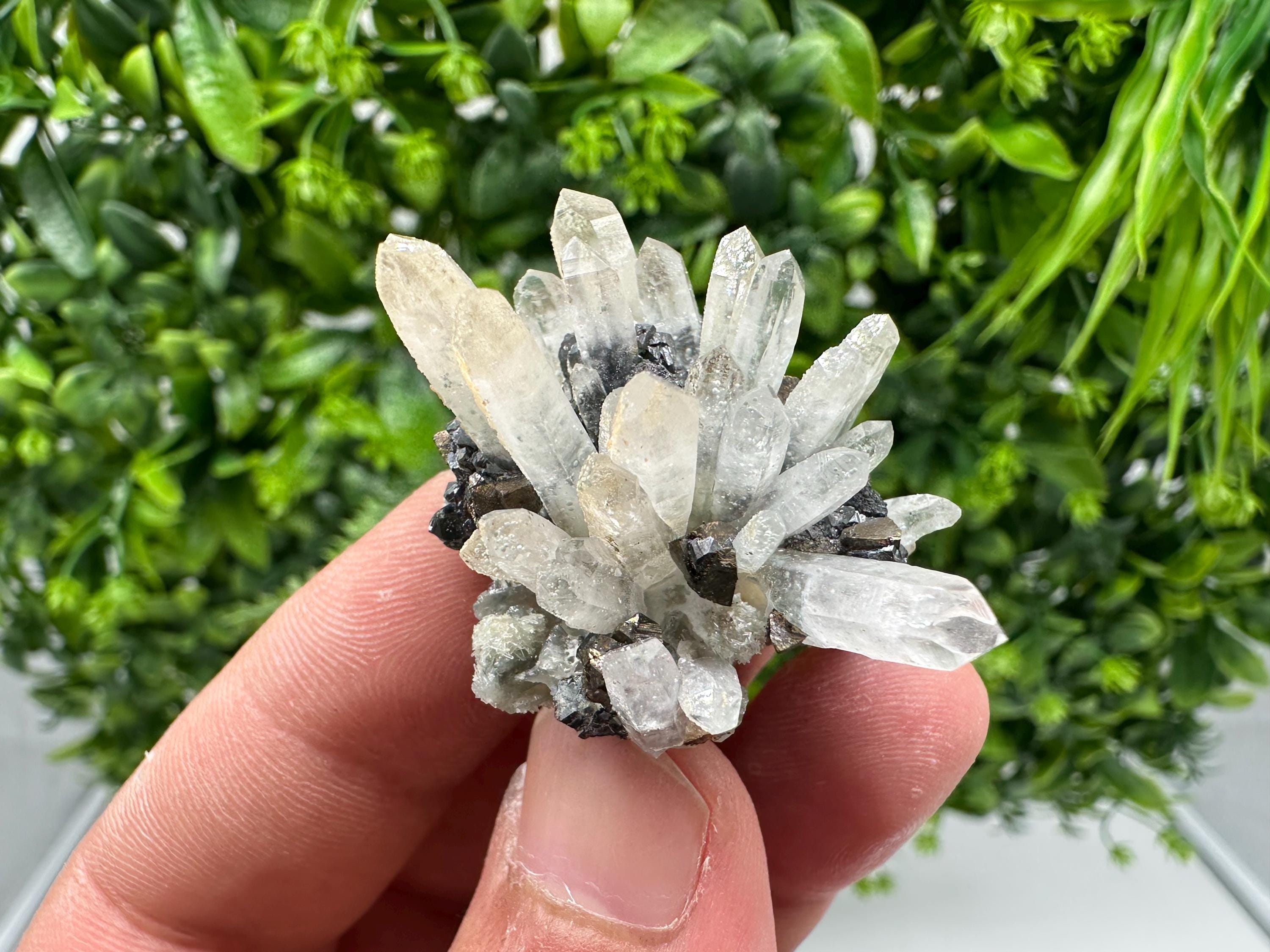 Wonderful Sphalerite Chalcopyrite on Green Quartz whit Hematite feom 9 th September mine,Bulgaria,natural,collection mineral specimen,gift