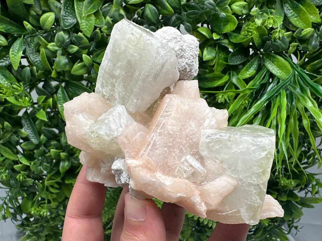 Apophyllite Stilbite on Chalcedony, India Crystal Mineral Specimen