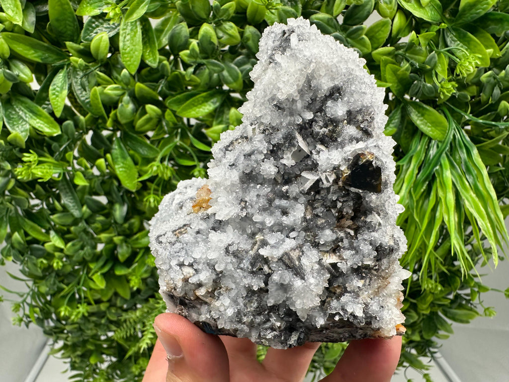 Chalcedony Micro Crystal Specimen: Krushev Dol Mineral Collection